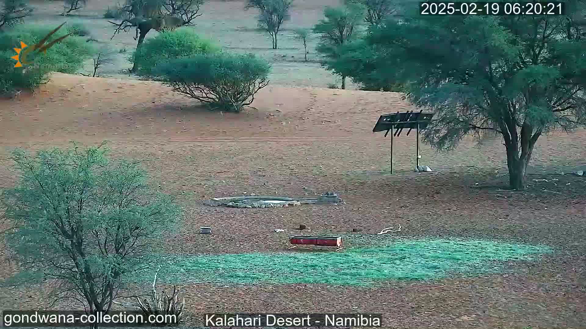 A desert landscape with sparse vegetation, a small water source, and a bird feeder, under a clear sky.