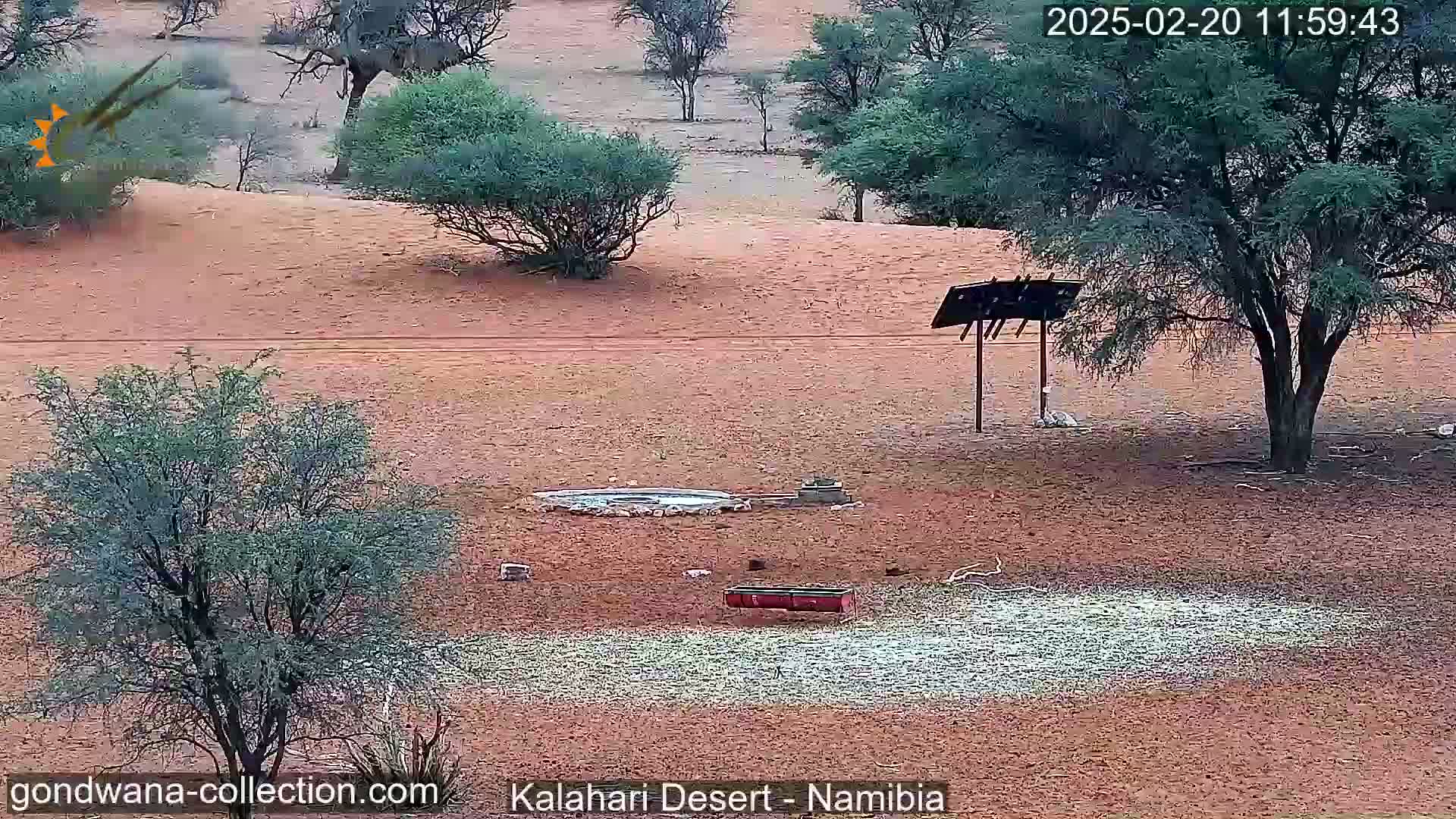 A desert landscape with sparse vegetation, a small water source, and a feeding trough, under a partly cloudy sky.