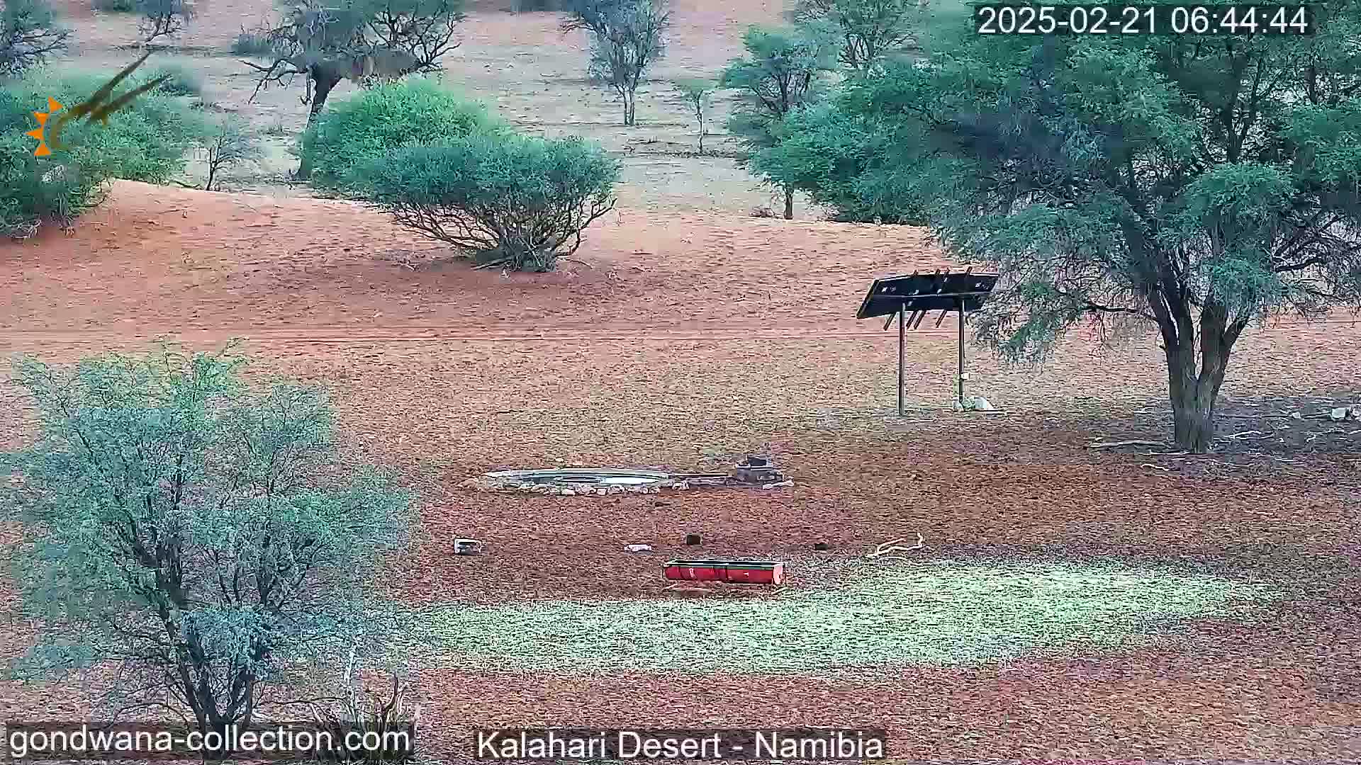A desert landscape with sparse vegetation, a small waterhole, and a metal structure is visible under a mostly clear sky.
