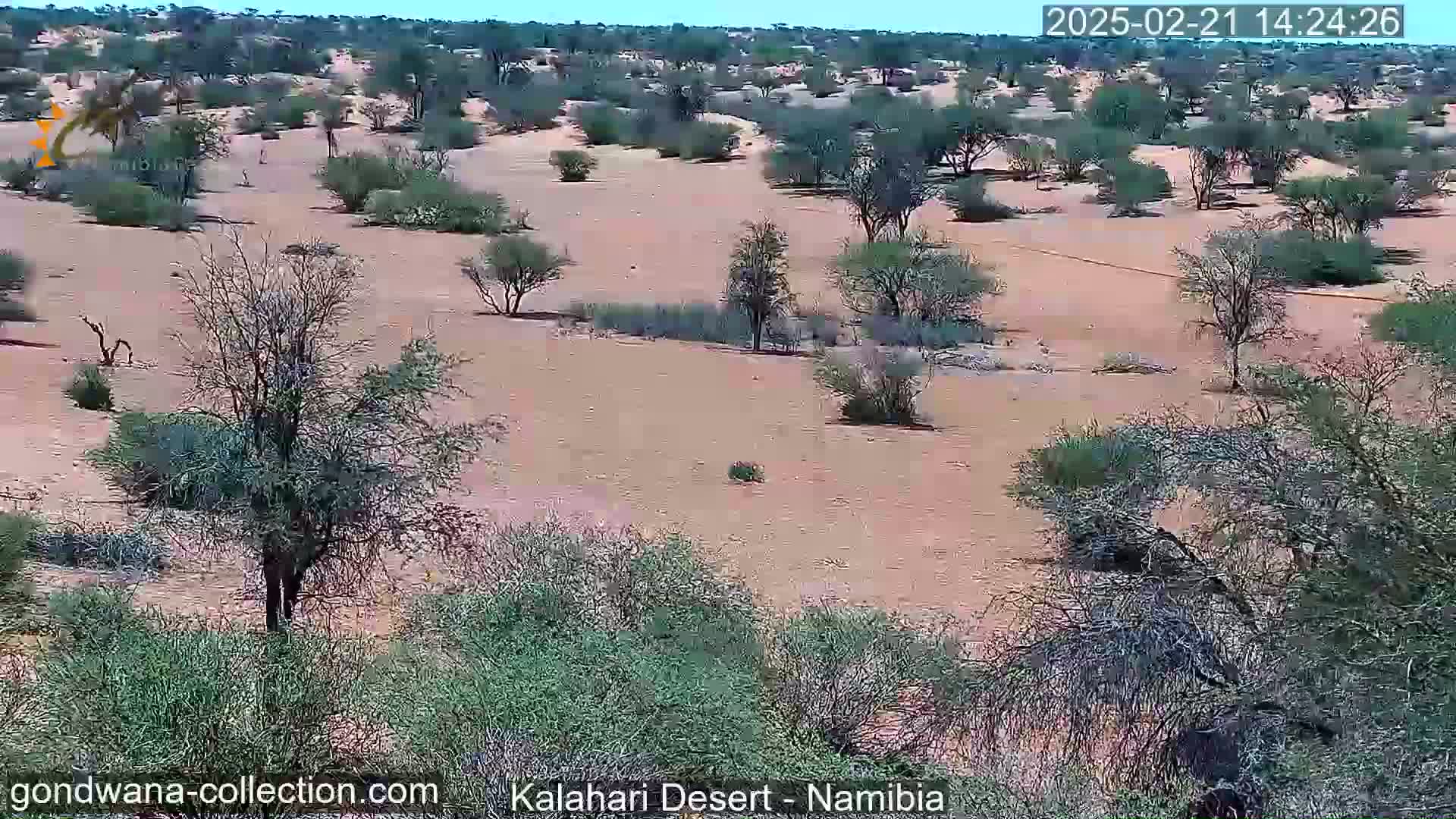 A high-angle view shows a sparsely vegetated, sandy desert landscape under a clear sky.