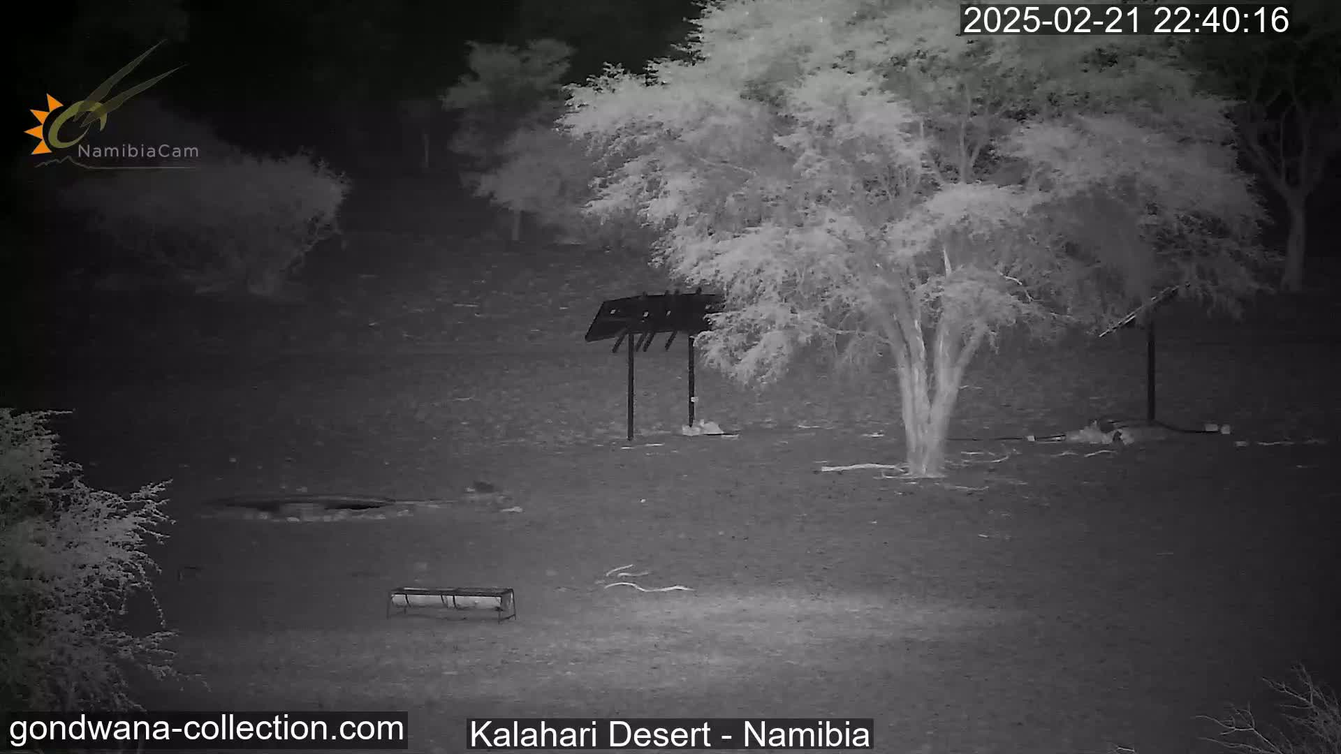 A nighttime infrared image shows a barren, sandy landscape with sparse vegetation, including a tree under which is a tall, thin structure, and a low trough-like object.