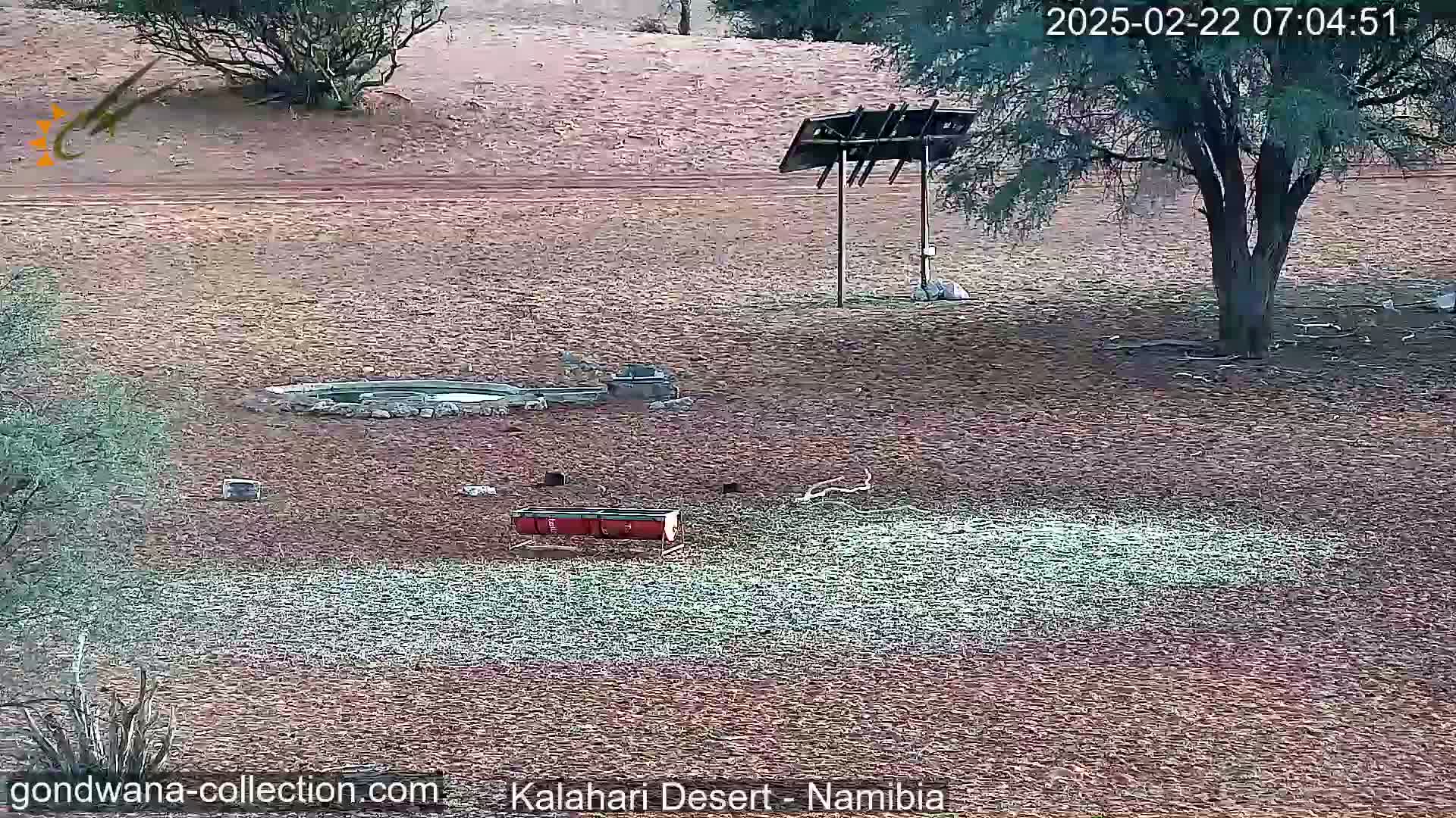 A mostly barren, frost-covered desert landscape features a small watering hole, a red trough, and a tree under a shaded structure.