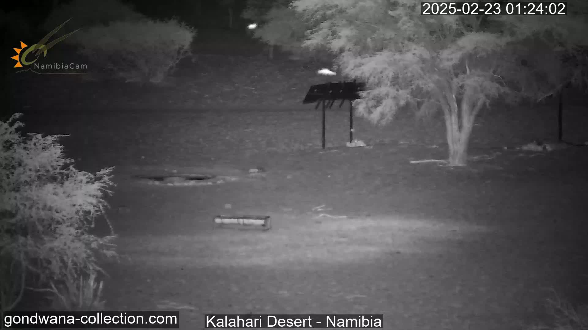 A nighttime infrared image shows a sparsely vegetated area with a few trees and a metal structure, under clear night skies.