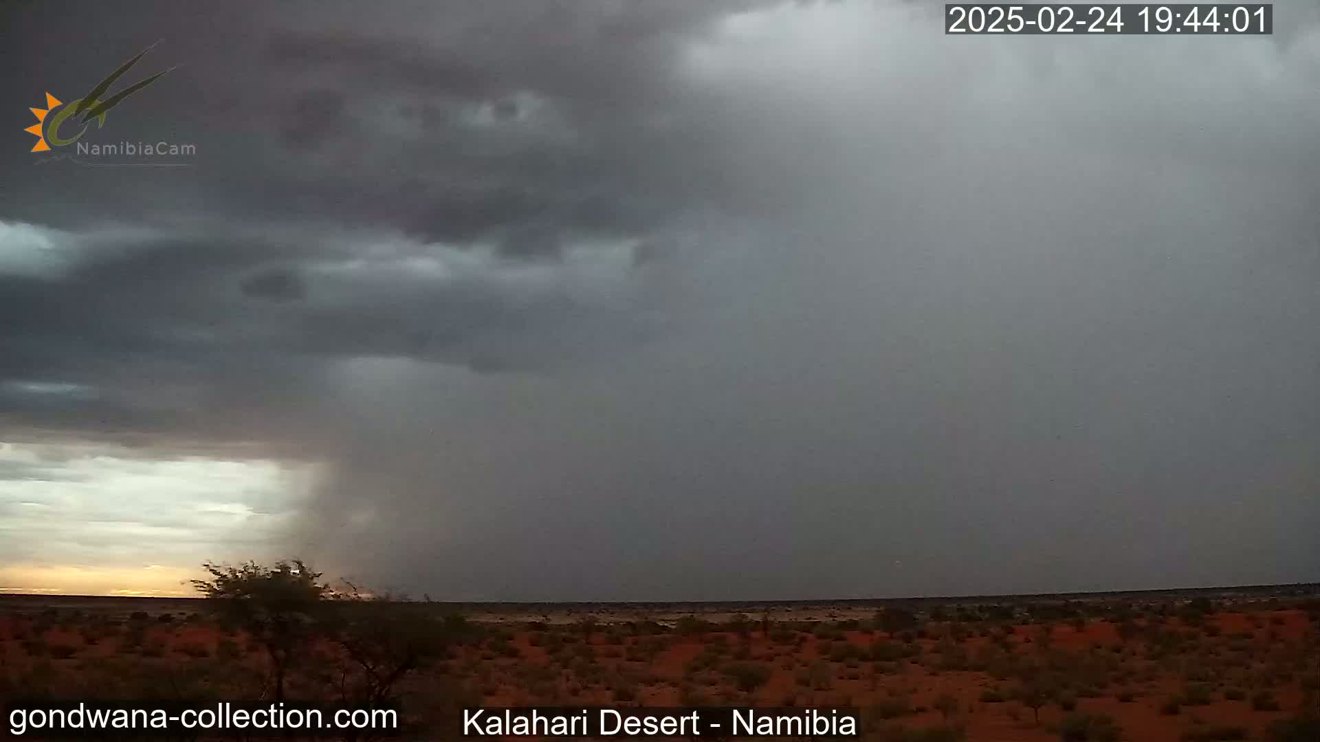 A heavy rain shower falls over a flat, desert landscape under a dark, stormy sky.