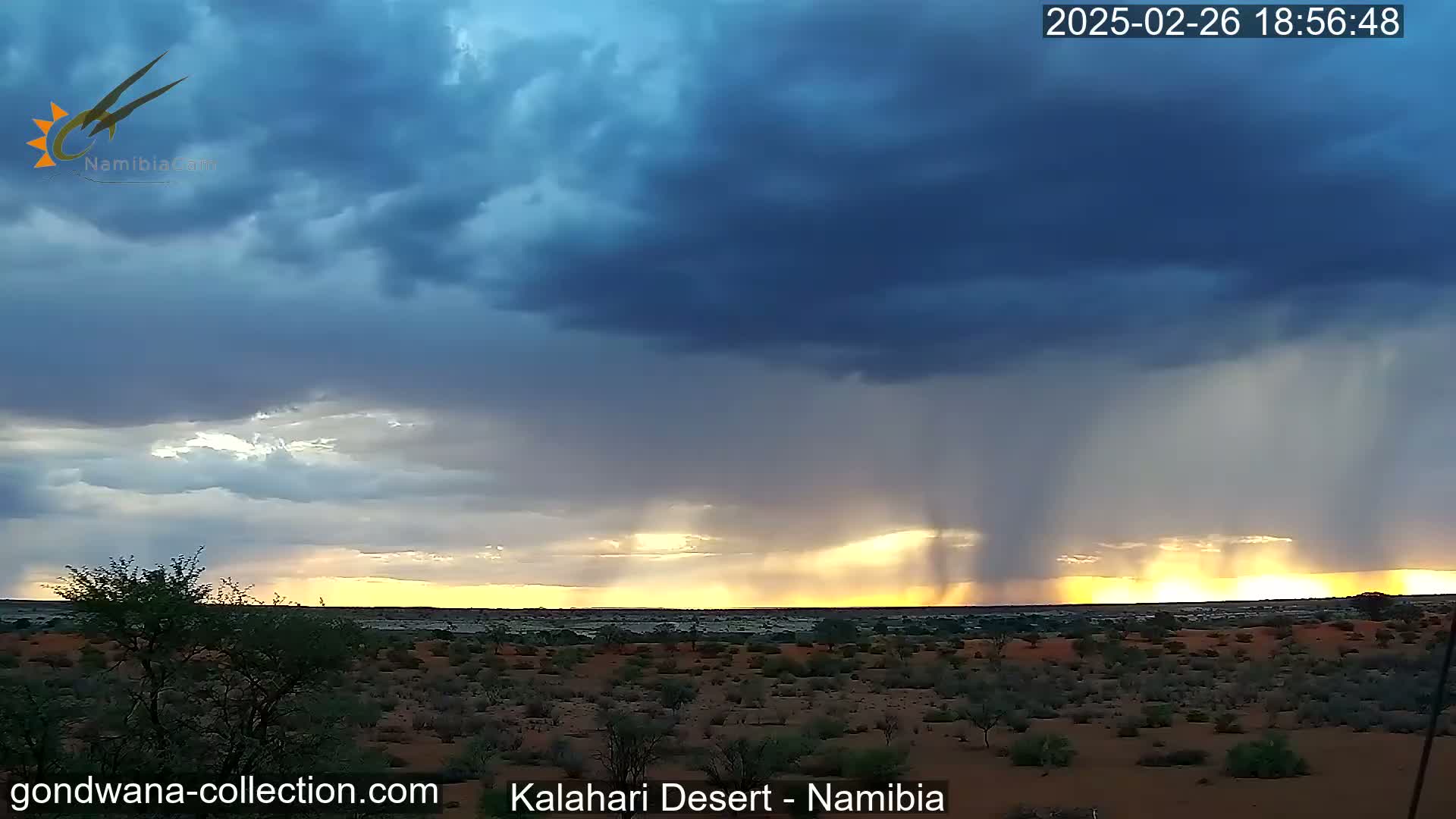 A desert landscape with sparse vegetation is illuminated by a setting sun, while a heavy rain shower falls from dark, dramatic clouds.