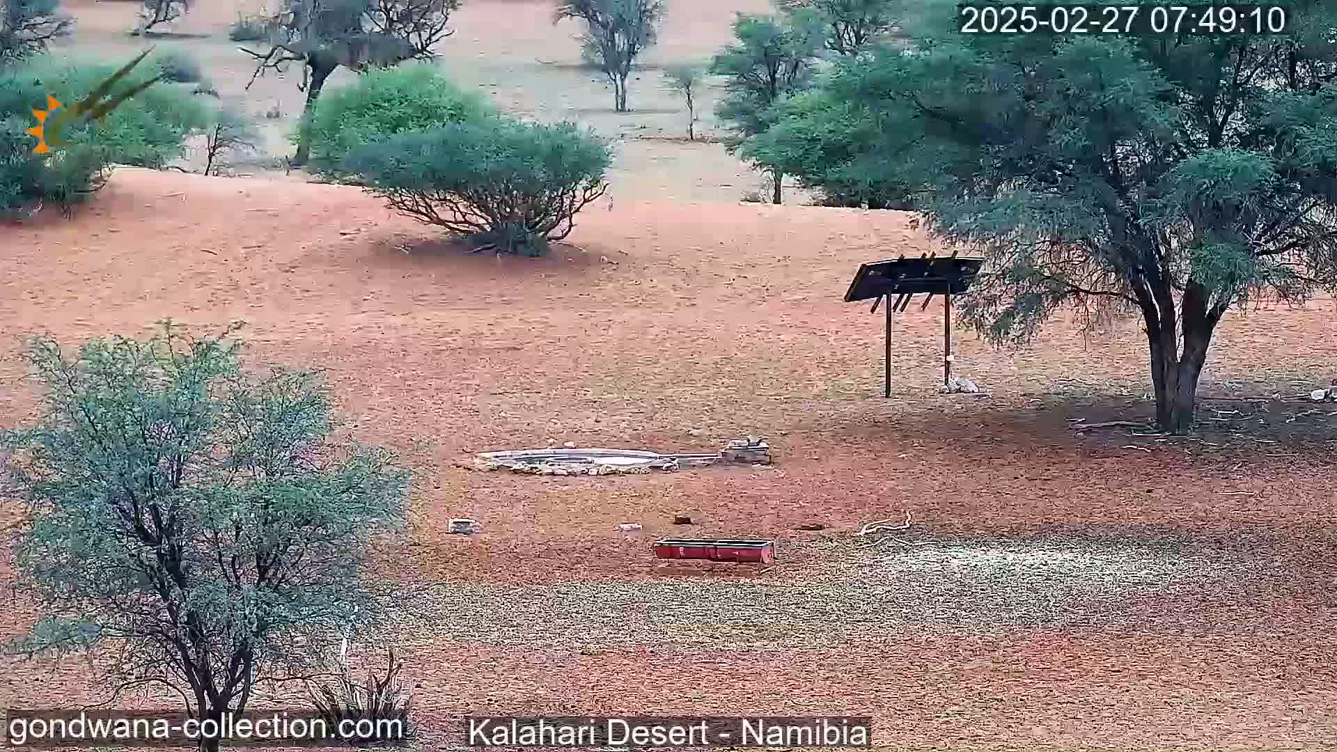 A dry, reddish-brown landscape dotted with sparse, low-lying green vegetation and a few trees, features a small, circular waterhole and several small objects near it.