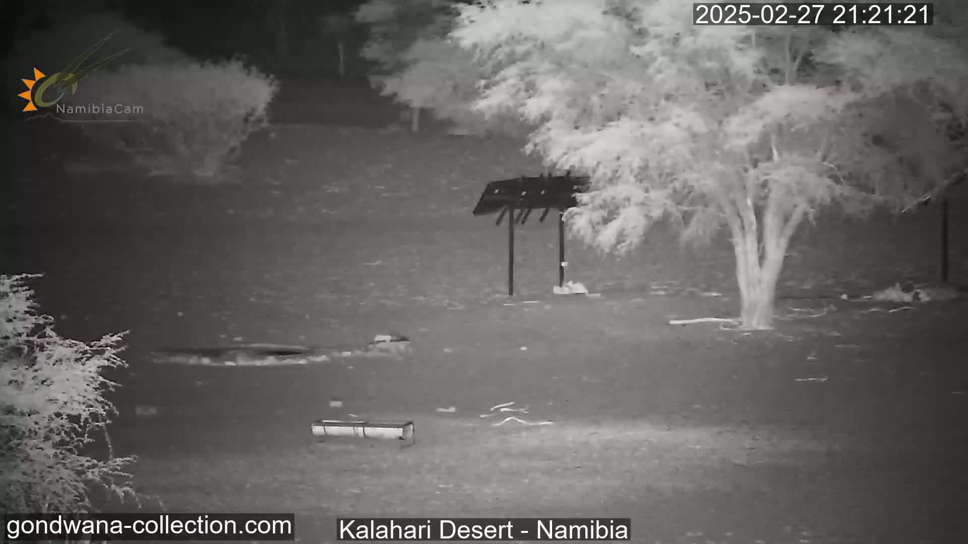 A nighttime infrared image shows a desolate, sparsely vegetated area with a metal structure and a long, low trough-like object on the ground.