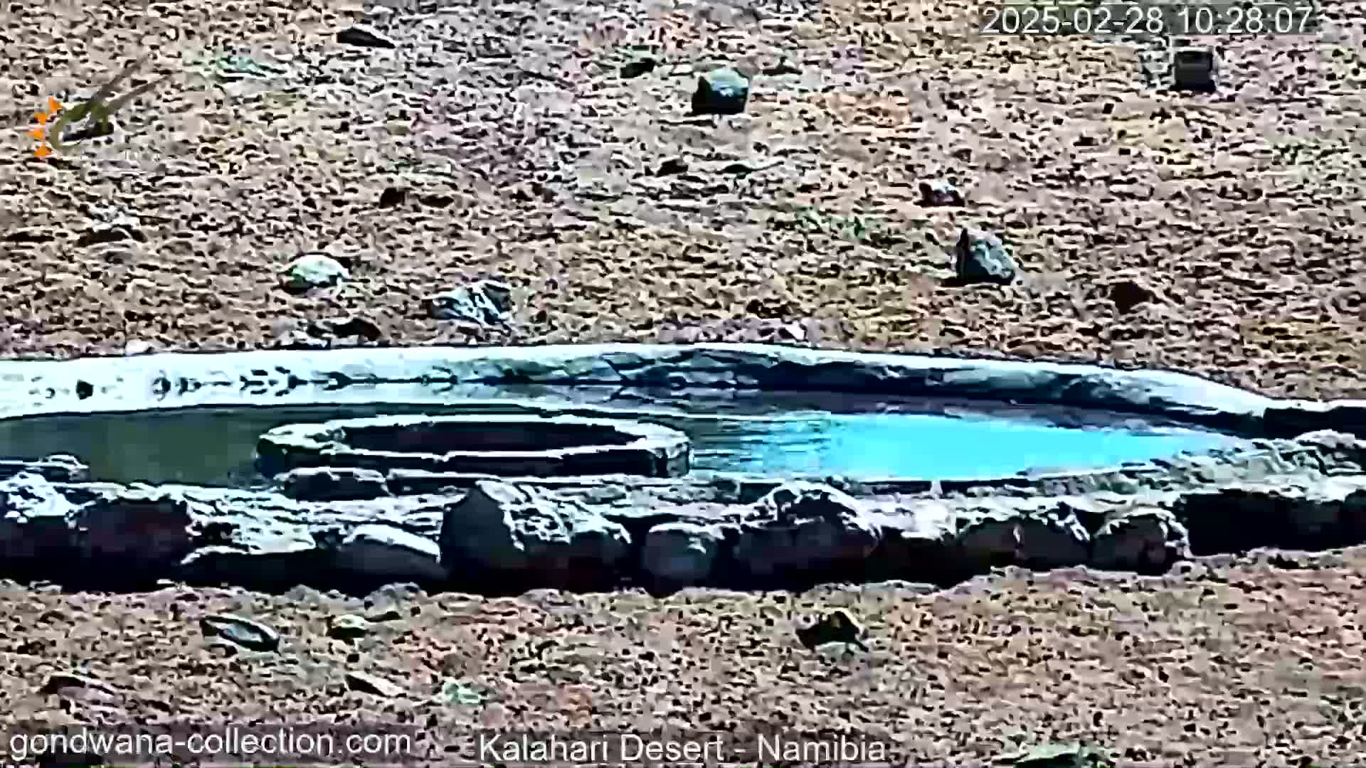 A small, rock-lined pool of turquoise water sits in a dry, sandy landscape.