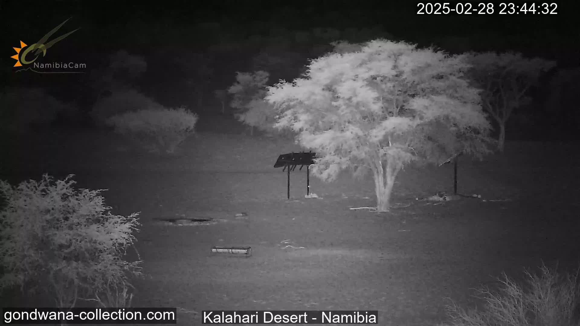 A nighttime infrared image shows a sparsely vegetated landscape with several small trees and shrubs, a dark structure resembling a bird feeder, and a long, low object that may be a bench or trough.