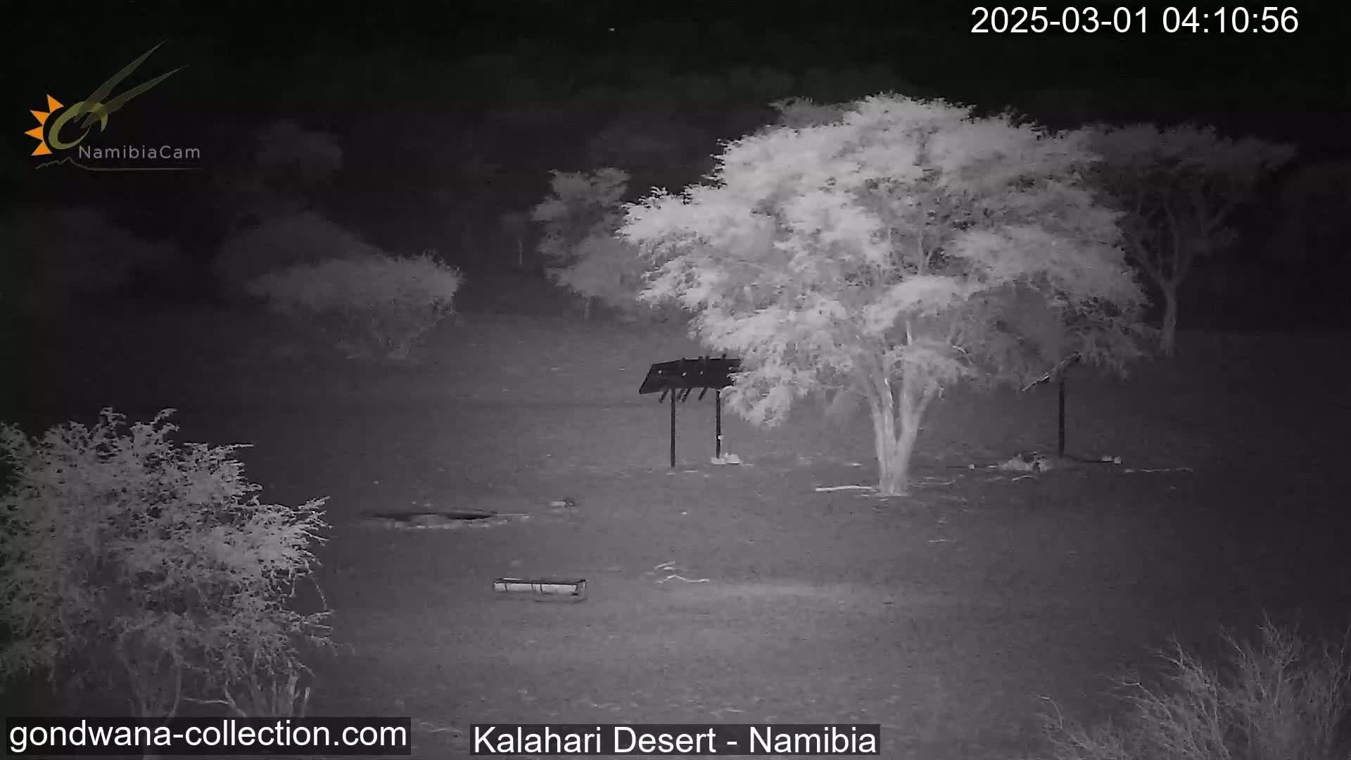 A nighttime infrared image shows a desert landscape with sparse vegetation, a small structure, and a tree under a clear, dark sky.