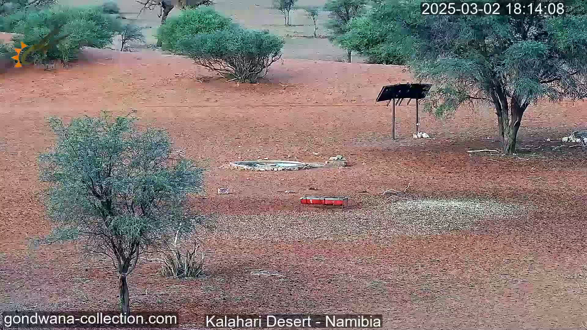 A dry, reddish-brown landscape with sparse vegetation, a small waterhole, and a trough is visible under a clear sky.