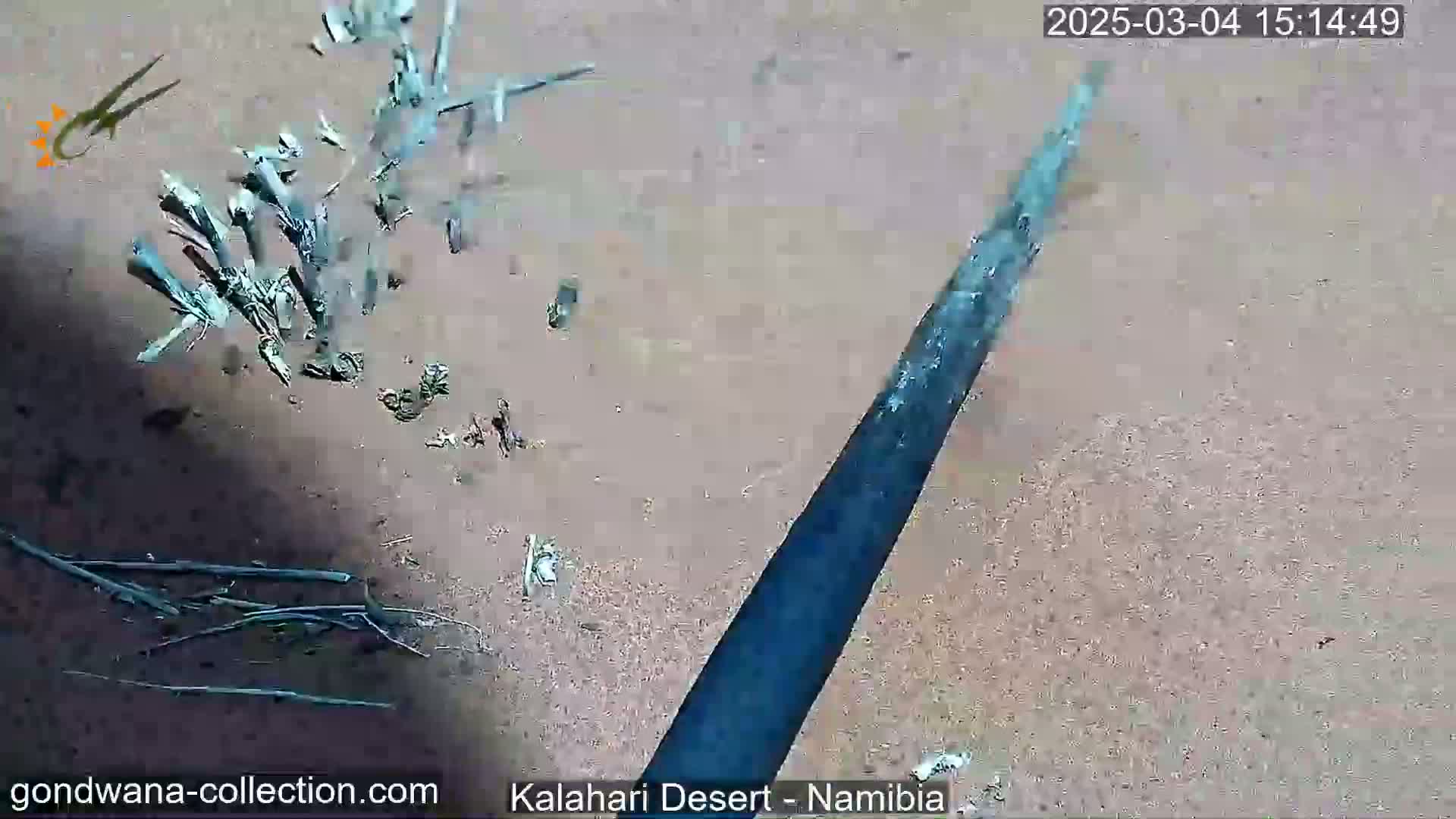 A dark-colored stick or pole is shown striking the ground, scattering small pieces of wood on a sandy, desert-like surface under a sunny sky.