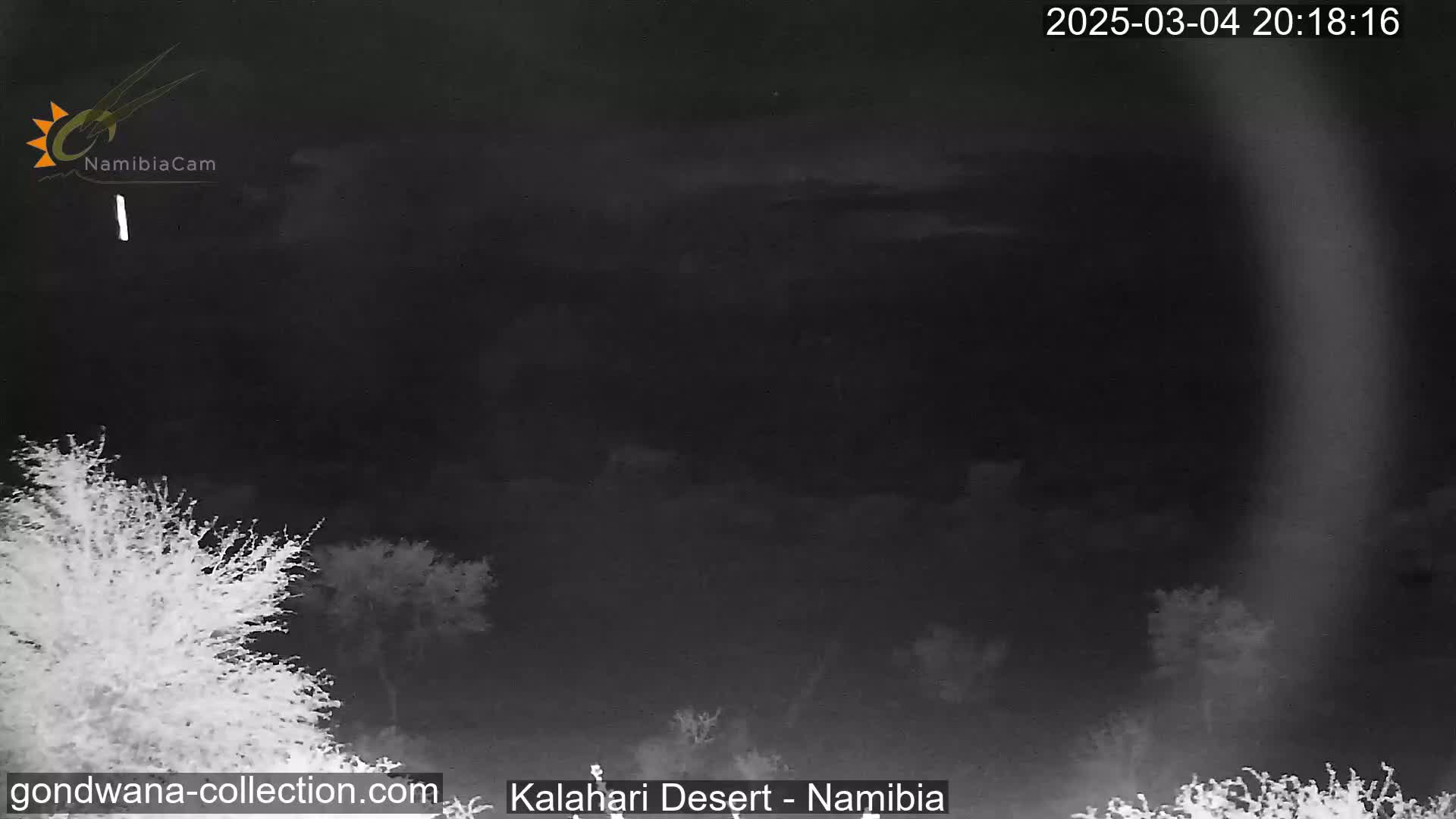 A nighttime view of the Kalahari Desert shows sparse, dark vegetation under a mostly clear, dark sky.