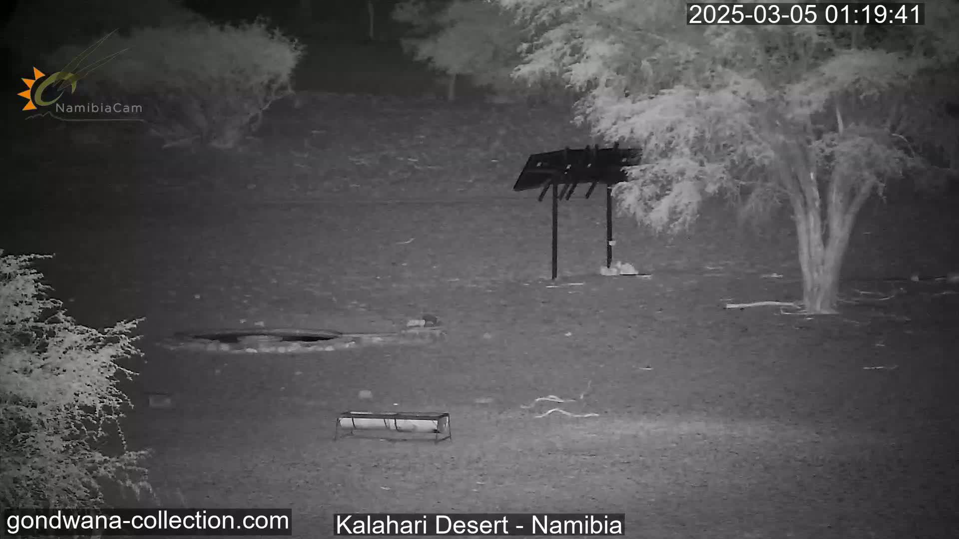 A nighttime, infrared view of a desert landscape shows sparse vegetation, a metal structure resembling a grill, and a small, rectangular object on the ground.