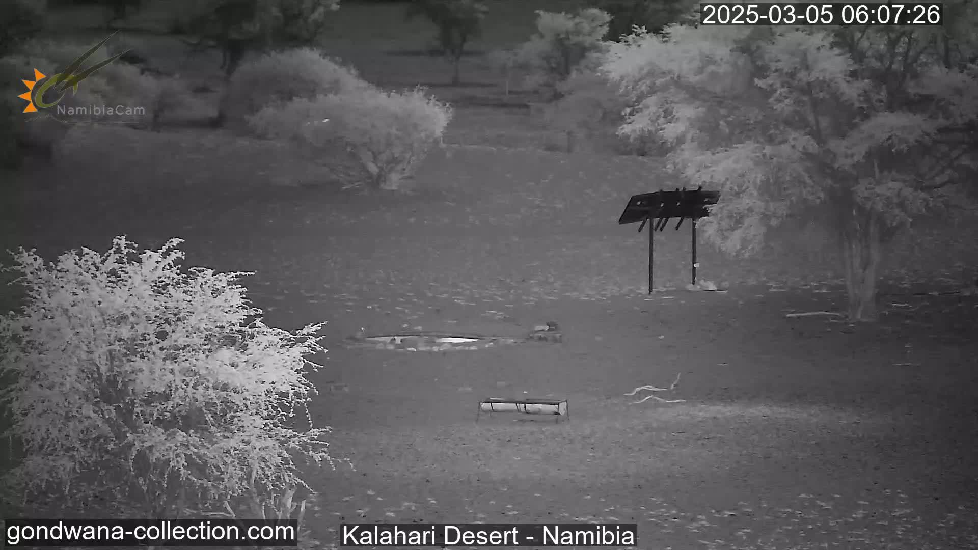 A nighttime infrared image shows a desert landscape with sparse vegetation, a small waterhole, and a metal structure resembling a bird feeder.