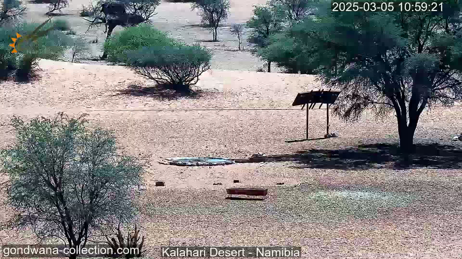 A desert landscape with sparse vegetation, a small water source, and a simple wooden structure under a sunny sky.