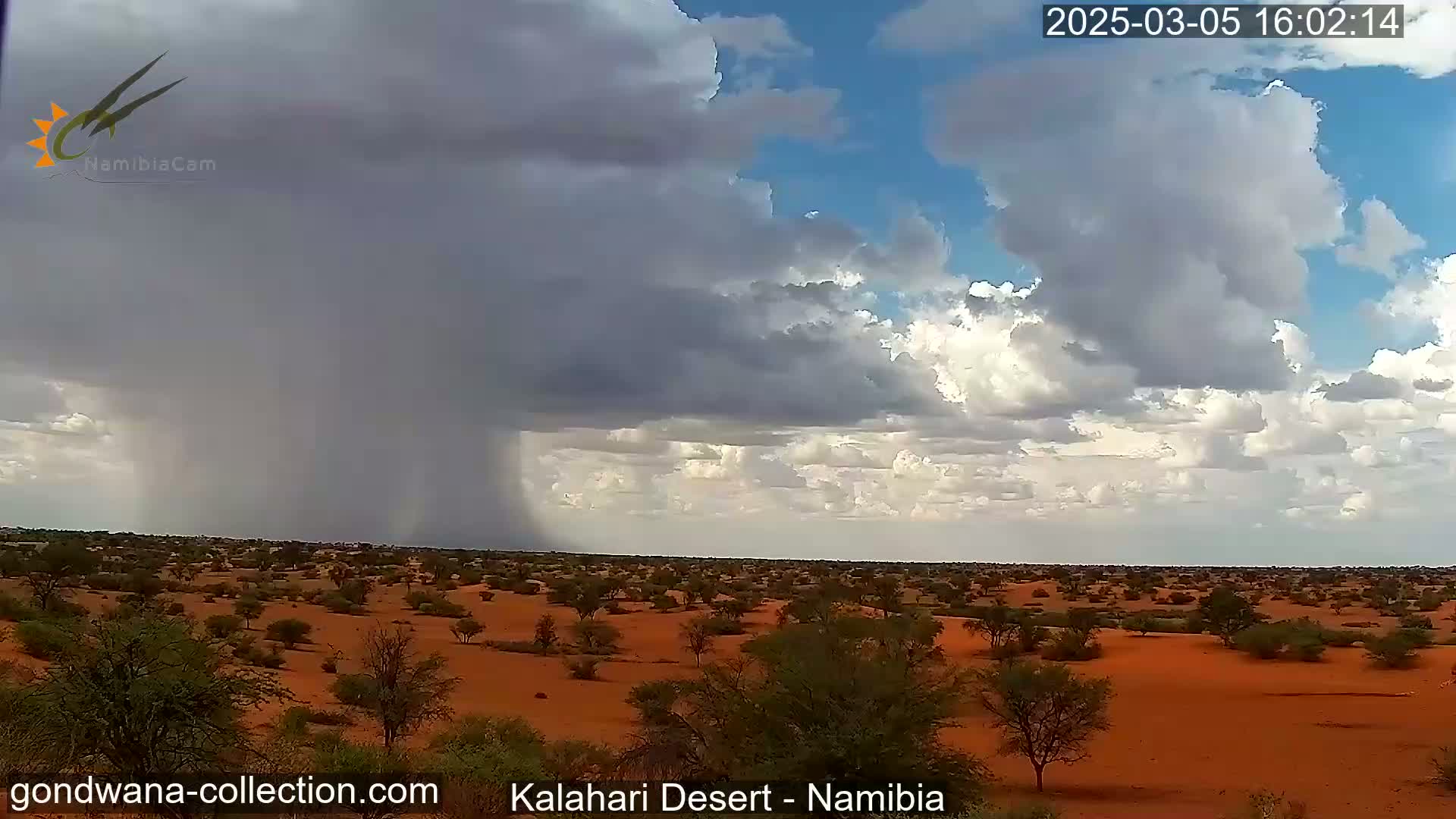 A heavy rain shower falls over a flat, red desert landscape dotted with sparse, low-lying vegetation under a partly cloudy sky.
