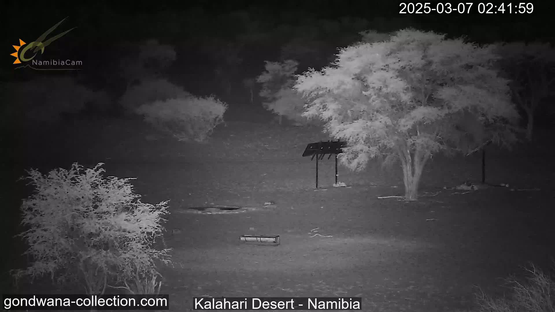 A nighttime infrared view shows a sparsely vegetated, flat landscape with a few shrubs and trees, a bench, and a metal structure under a dark sky.