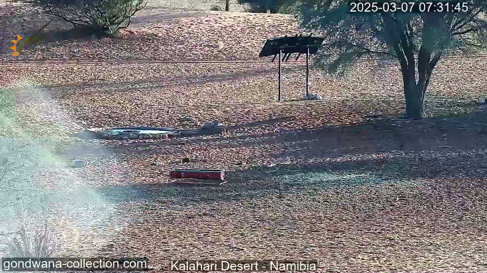 A mostly barren, dusty landscape under a sunny sky features a small water trough, a red trough or container, and a tree with a covered structure nearby.