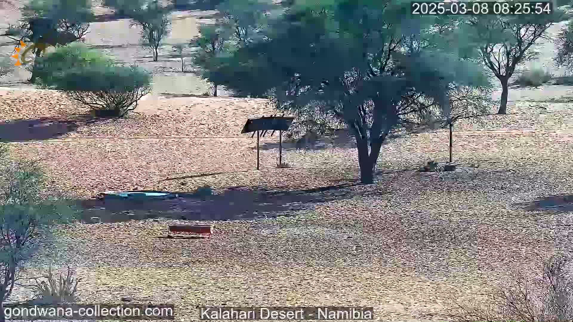 A sunny, arid landscape shows sparse, low-lying vegetation, a few trees, and some simple outdoor structures in a dry, sandy area.