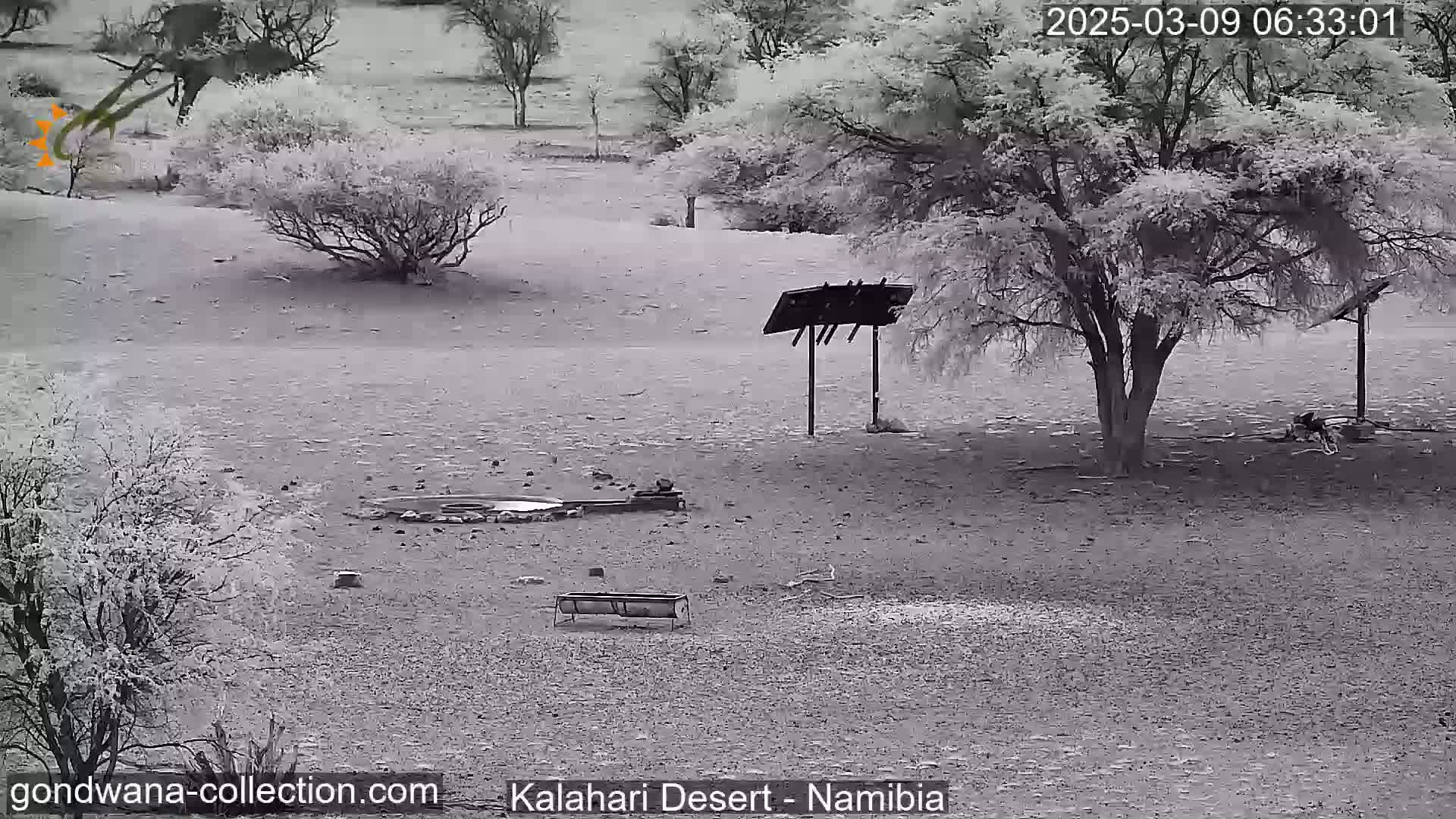 A desert landscape with sparse vegetation, a bird feeder, and a small structure under a mostly clear sky.