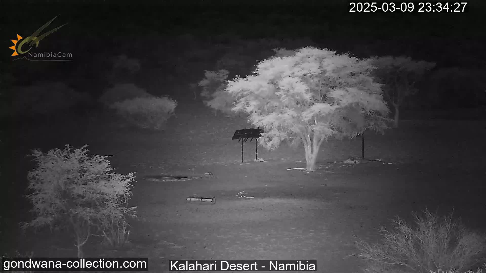 A nighttime infrared image shows a sparsely vegetated area with a few small trees and a metal structure, possibly a barbecue grill.
