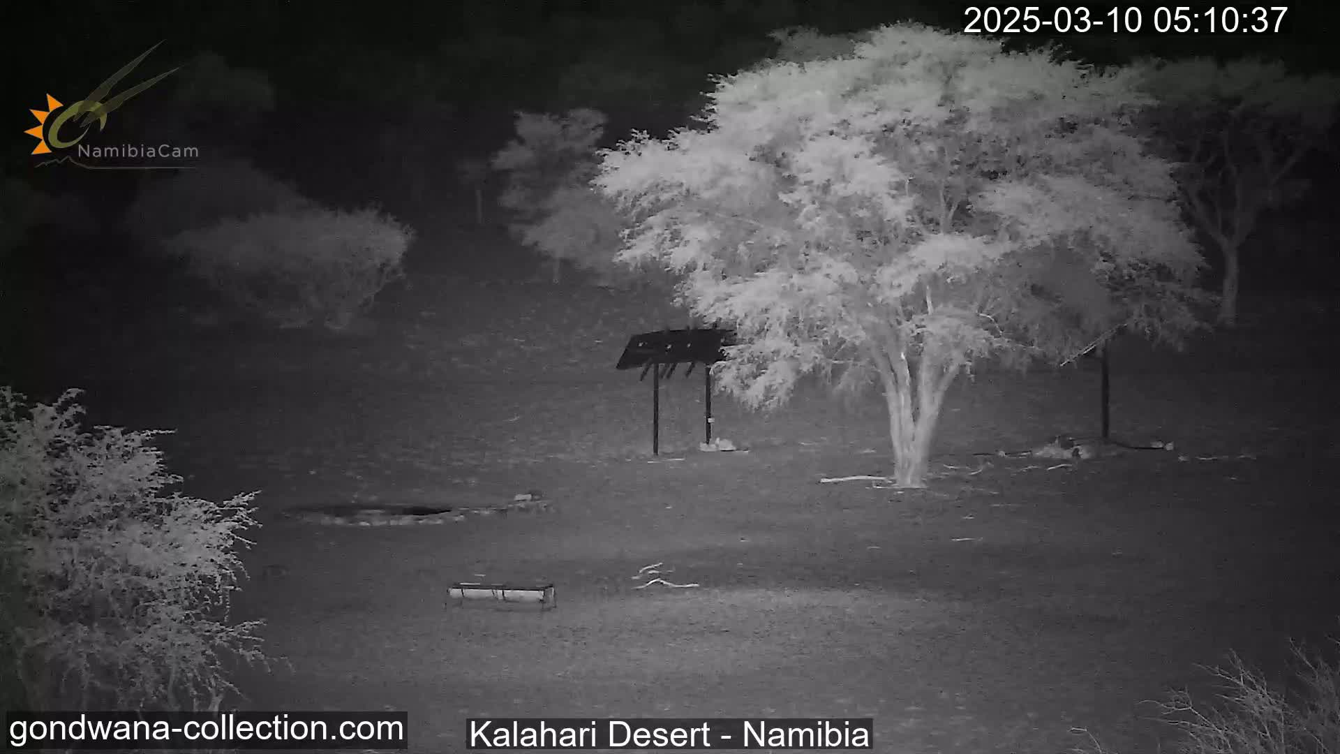 A nighttime infrared image shows a desert landscape with a tree, a bench, and a metal structure under a clear, dark sky.