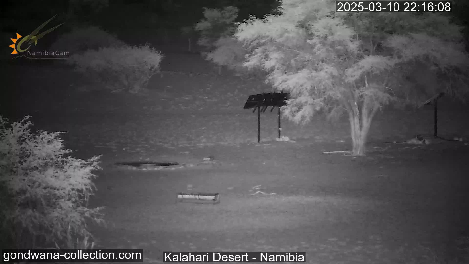 A nighttime infrared image shows a sparsely vegetated area with a few small trees and a bench, under dark, clear skies.