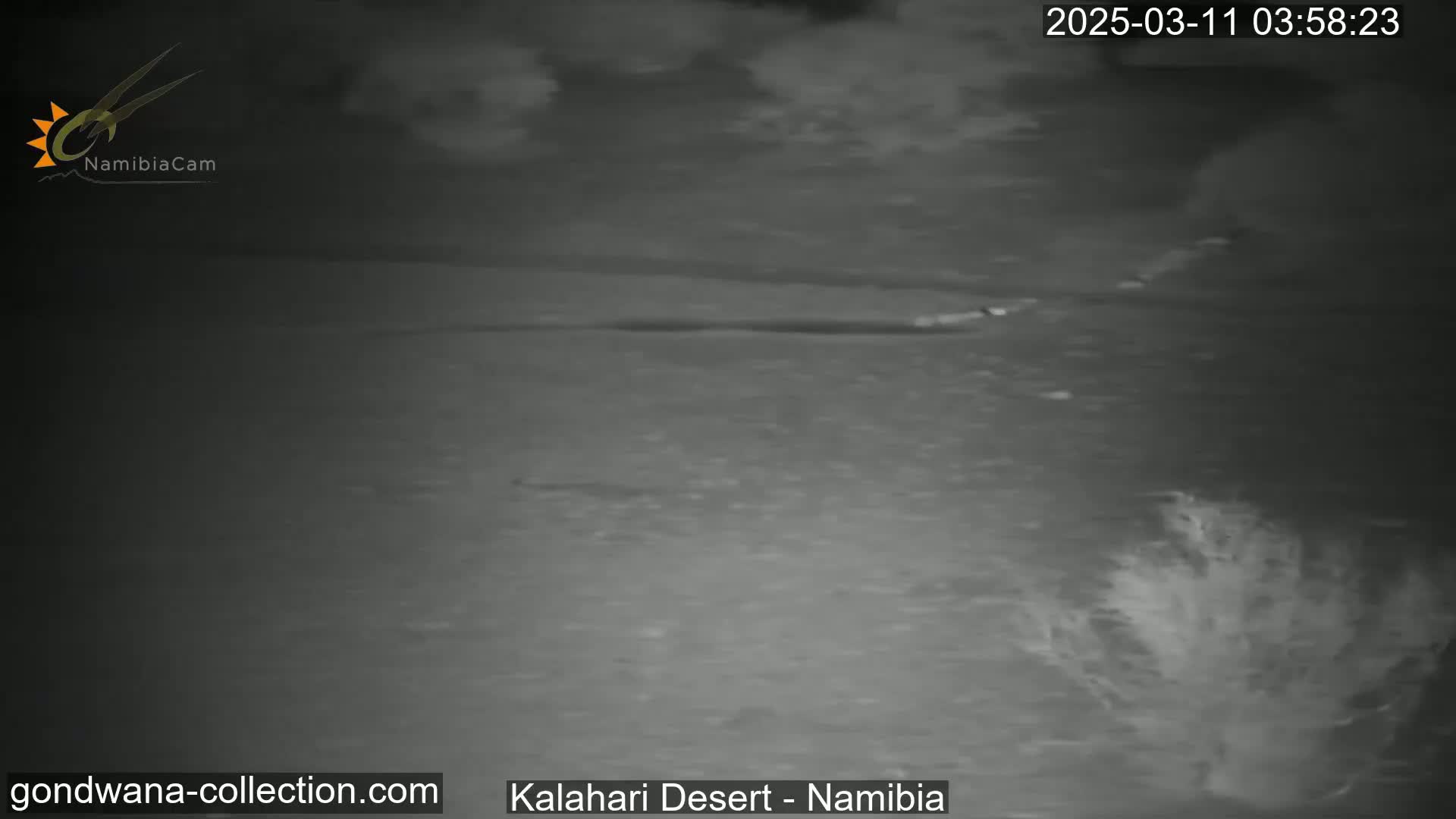 A nighttime, low-light image shows a mostly flat, dark landscape with sparse vegetation under a cloudy sky.