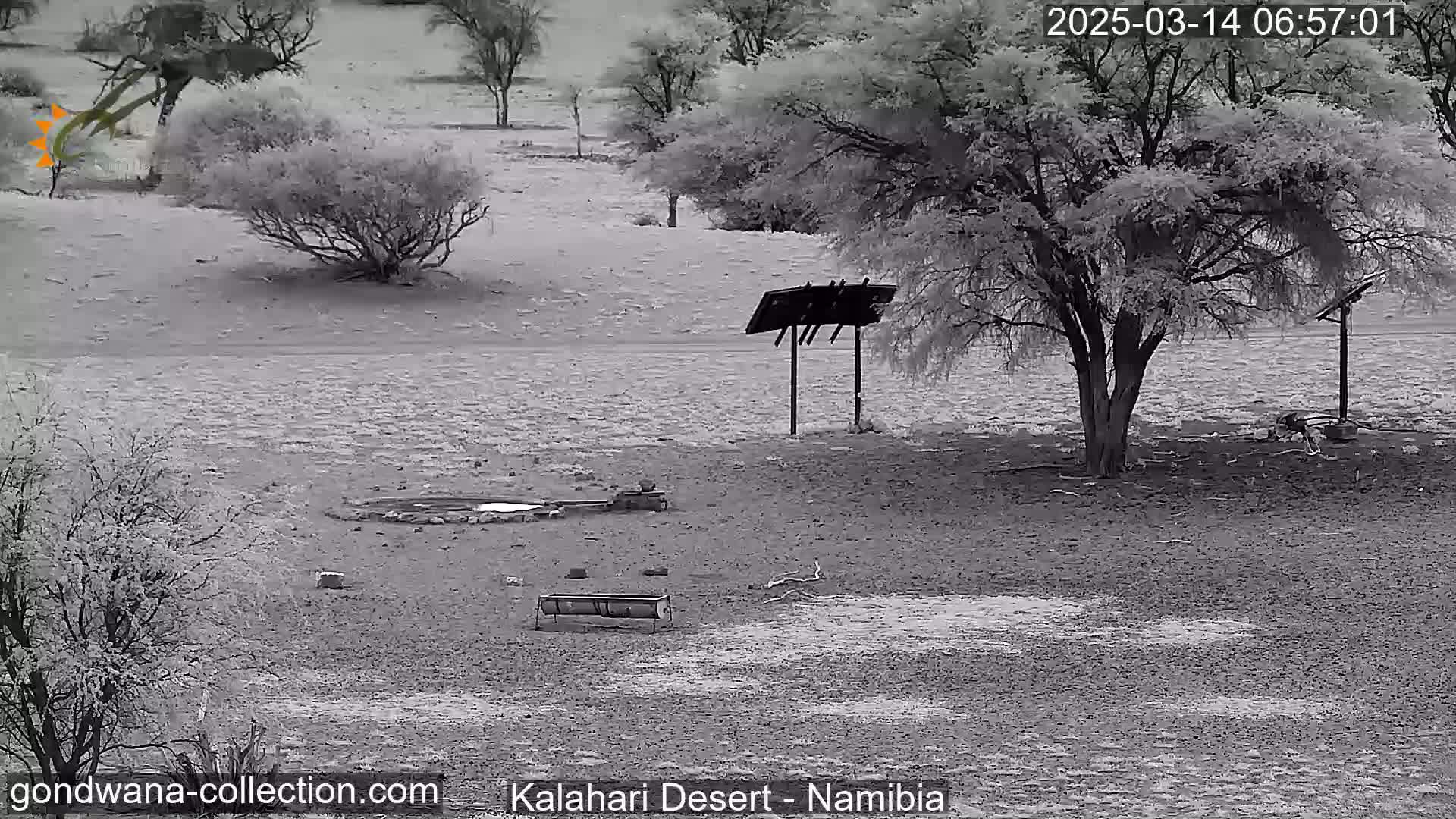 A desert landscape under an overcast sky shows sparse vegetation, a water trough, and a freestanding sign near a large tree.