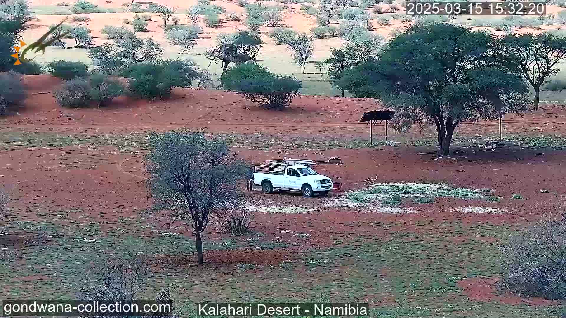 A white pickup truck is parked in a red dirt area amongst sparse, dry-looking vegetation in what appears to be desert-like conditions.
