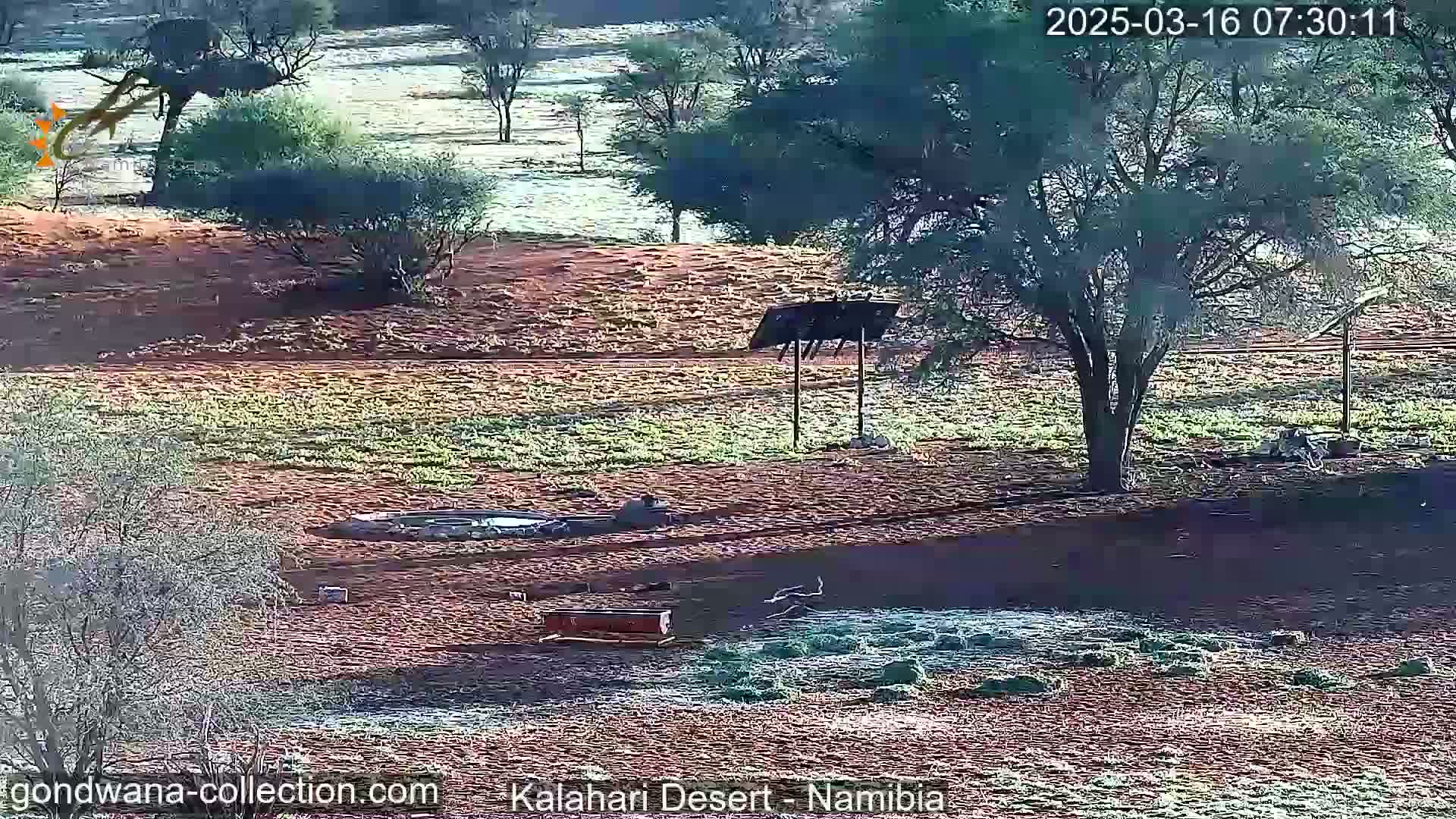 A frost-covered desert landscape with sparse vegetation, a few trees, and some structures, possibly a watering hole and feeding troughs.
