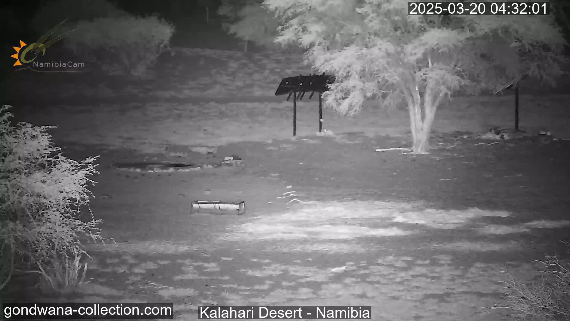 A nighttime, grayscale image shows a sparsely vegetated area with a metal structure and a trough, under dark conditions.