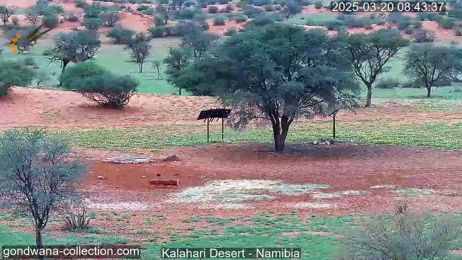 A damp, reddish-brown desert landscape features sparse vegetation, a few trees, and a small structure near a water source.