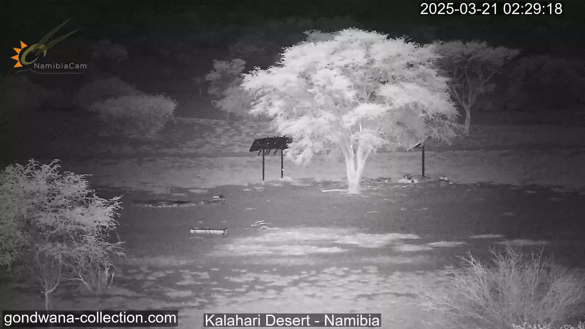 A nighttime infrared view shows a sparsely vegetated area with a tree and a simple structure, possibly a bird feeder, under a clear, dark sky.