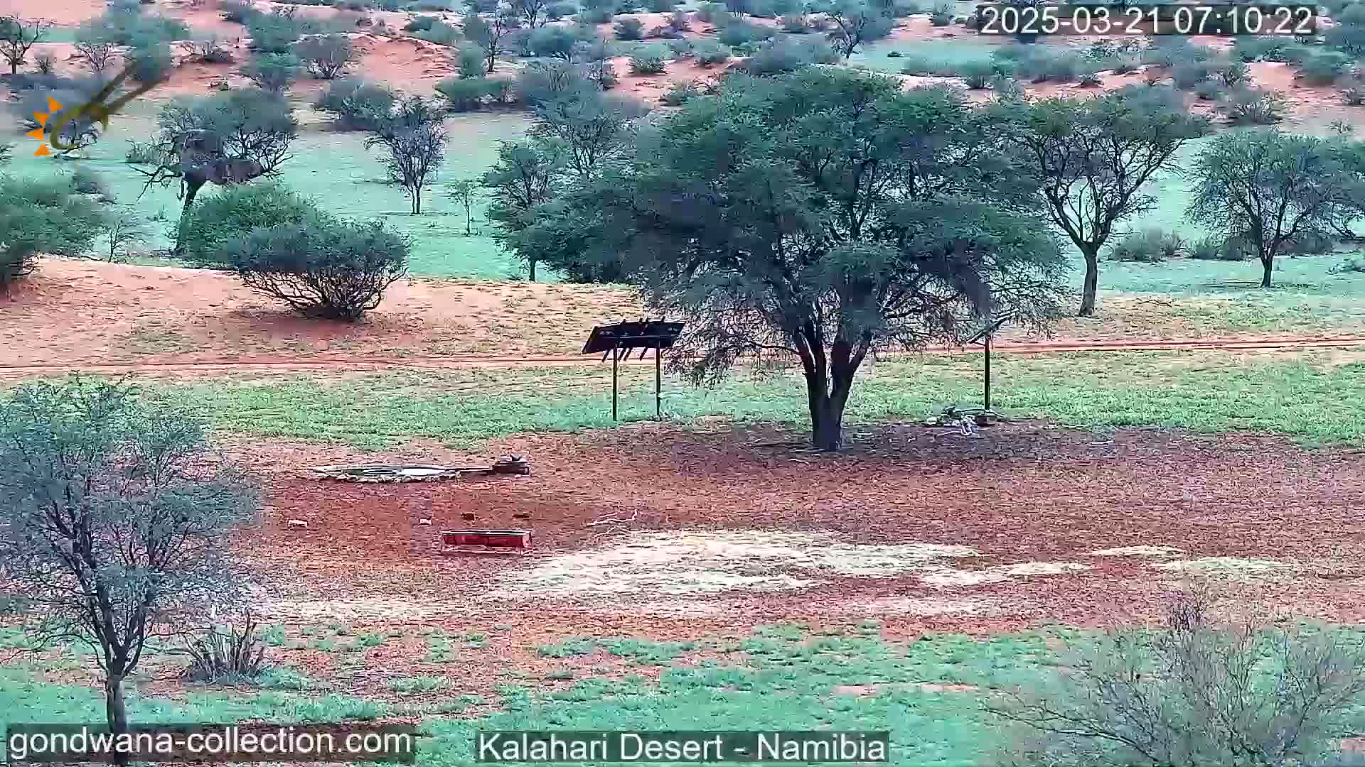 A slightly overcast scene shows a sparsely vegetated desert landscape with scattered trees, a small structure, and a dirt path.