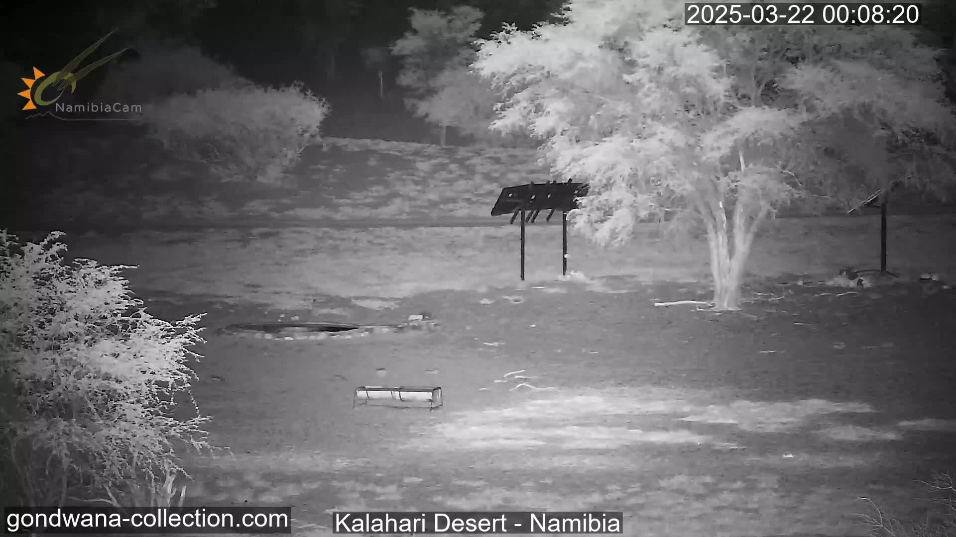 A nighttime infrared image shows a barren, flat desert landscape with sparse vegetation, a few structures, and a tree under a clear sky.