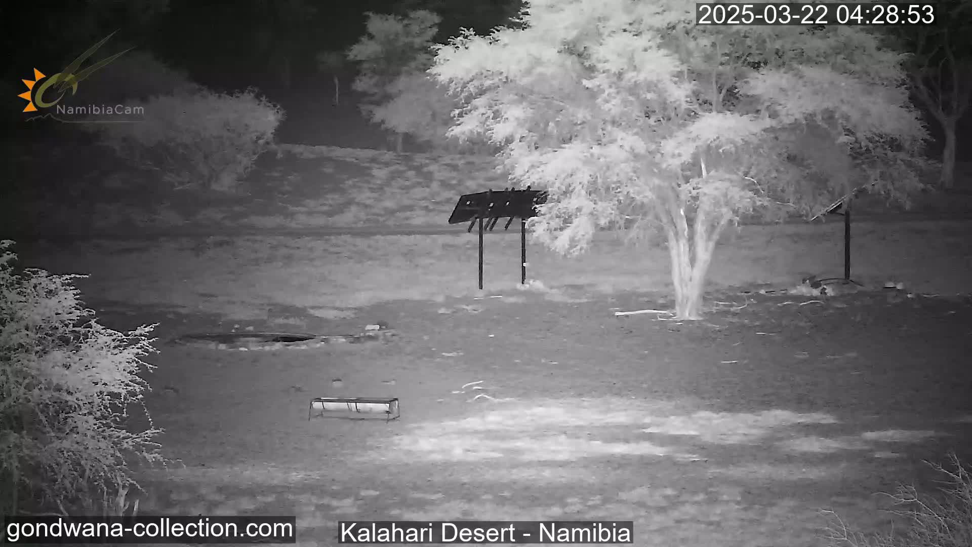 A nighttime infrared image shows a barren, flat landscape with sparse vegetation, a small structure, and a bench under a tree in the Kalahari Desert.
