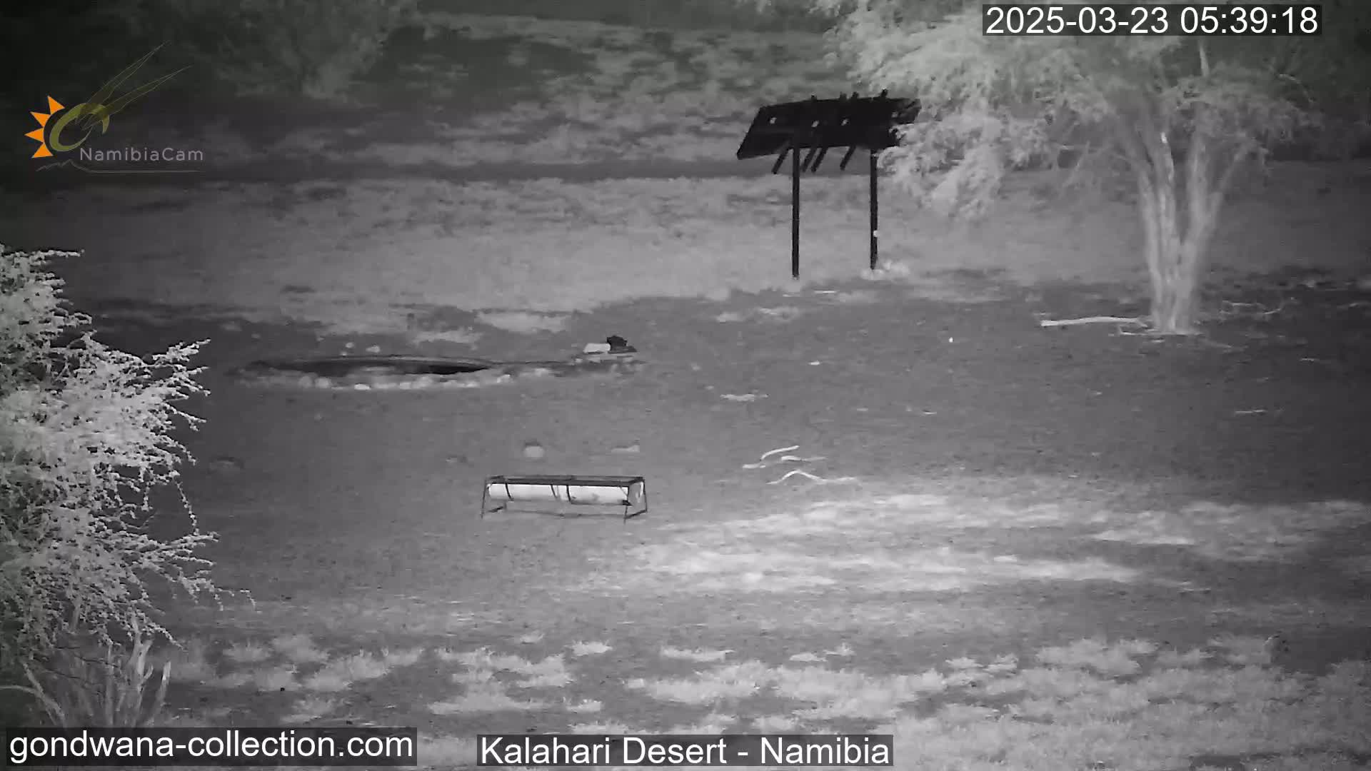 A nighttime infrared image shows a barren, flat landscape with sparse vegetation, a small animal feeder, and a tall, thin structure.