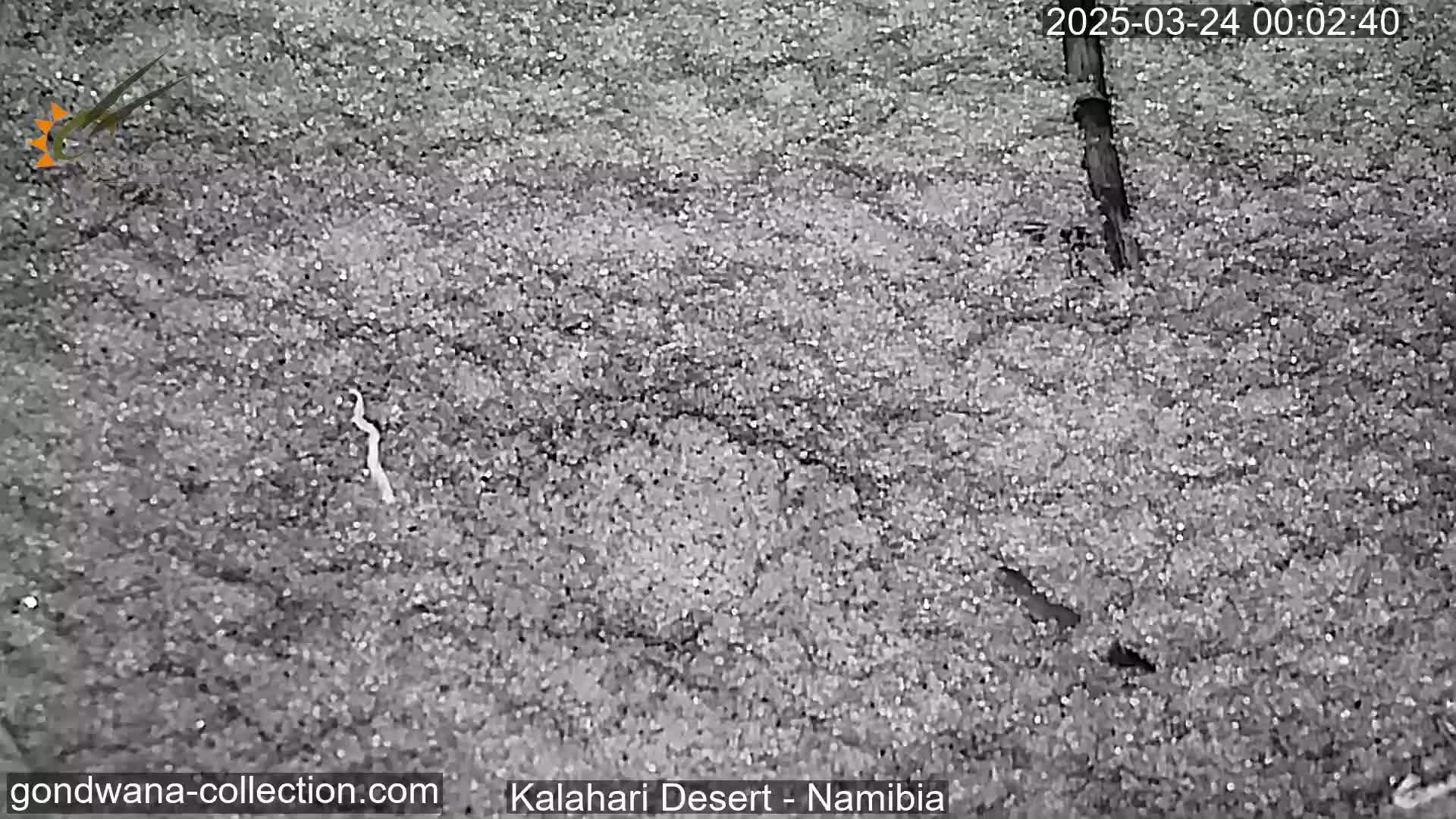 A grainy, black and white nighttime image shows a desolate, sandy landscape.