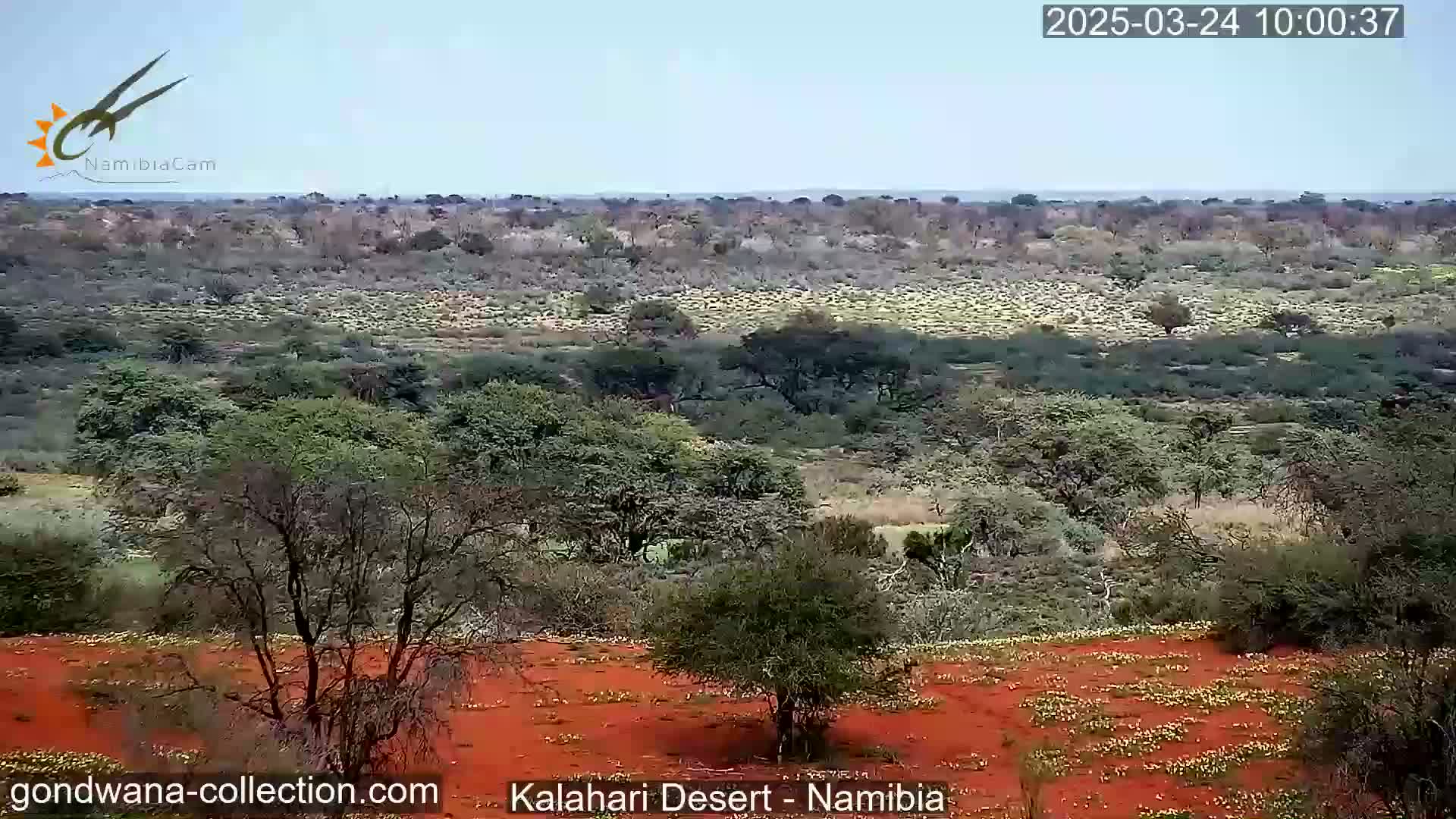 A wide, long shot shows a dry, scrubby landscape under a hazy sky, with red dirt visible in the foreground.