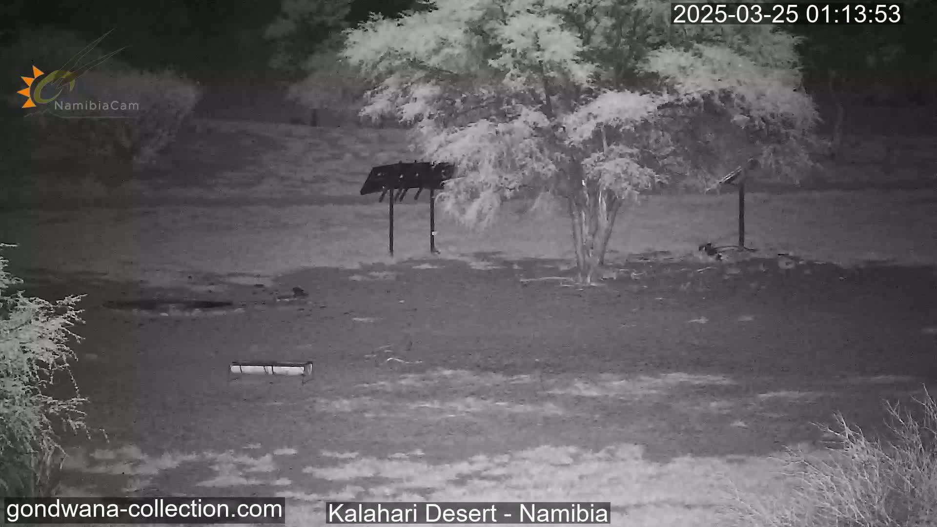 A nighttime infrared image shows a barren, flat landscape with sparse vegetation, a metal structure, and a bench under a tree.