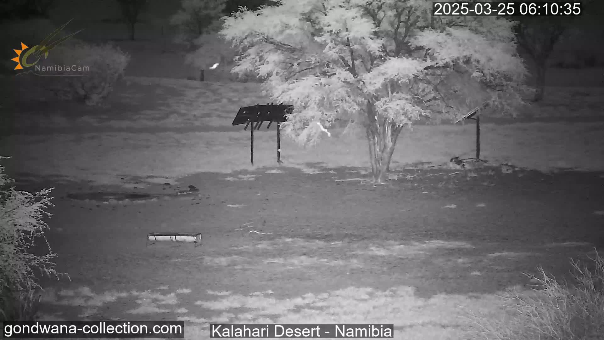 A nighttime infrared view shows a barren, flat landscape with sparse vegetation, a metal structure, and a long, low trough-like object.