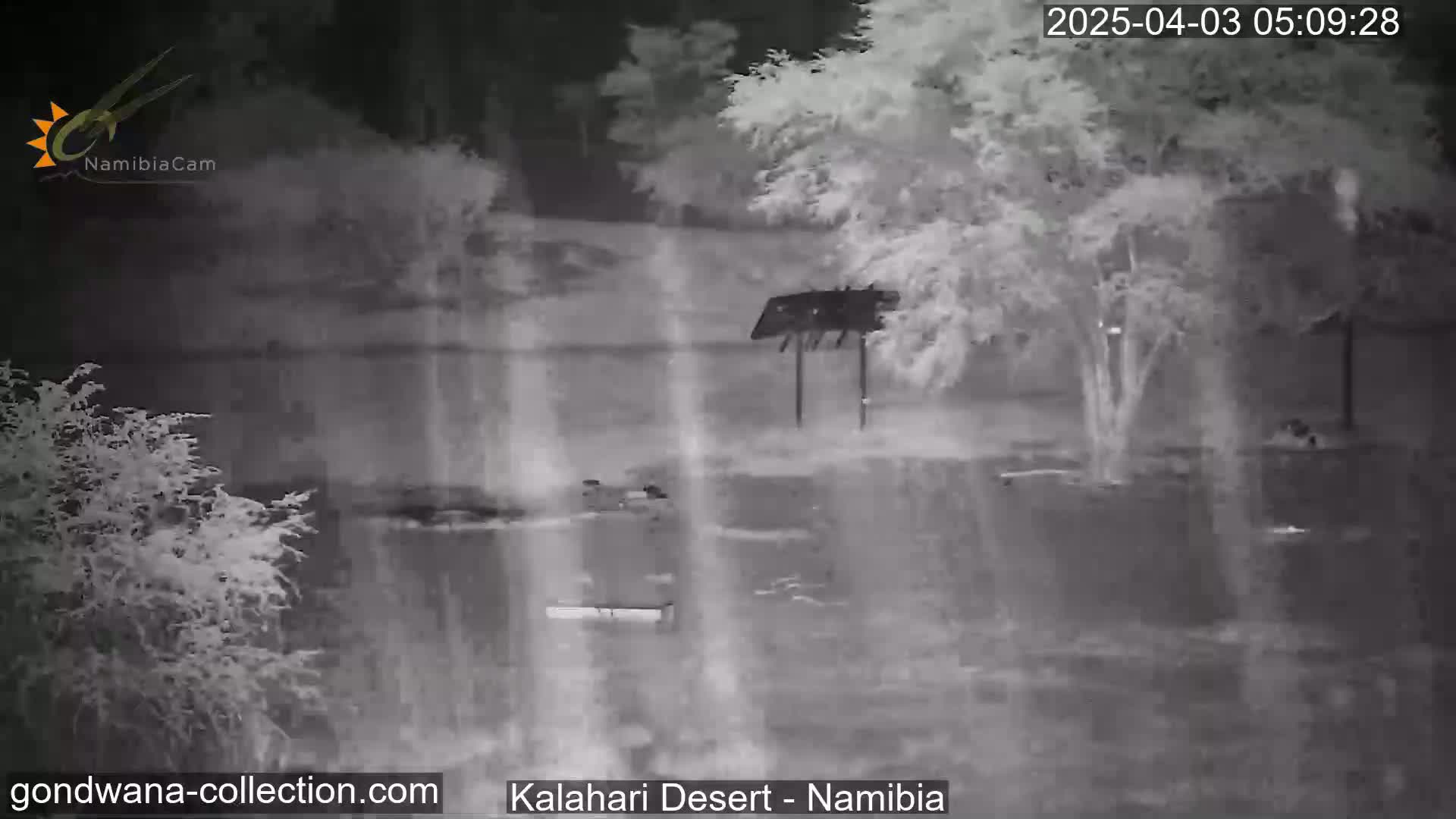 A nighttime infrared image shows a sparsely vegetated area with a structure resembling a signpost, under conditions of light rain or mist.