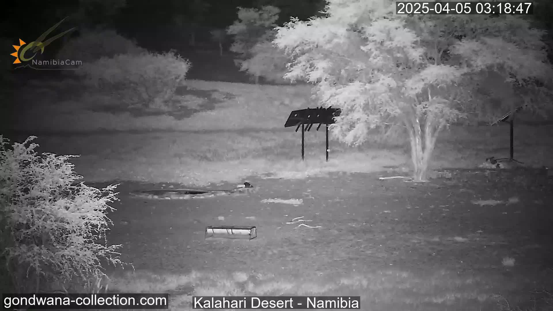 A nighttime infrared image shows a barren, dry landscape with sparse vegetation, a few structures, and a tree under a dark sky.