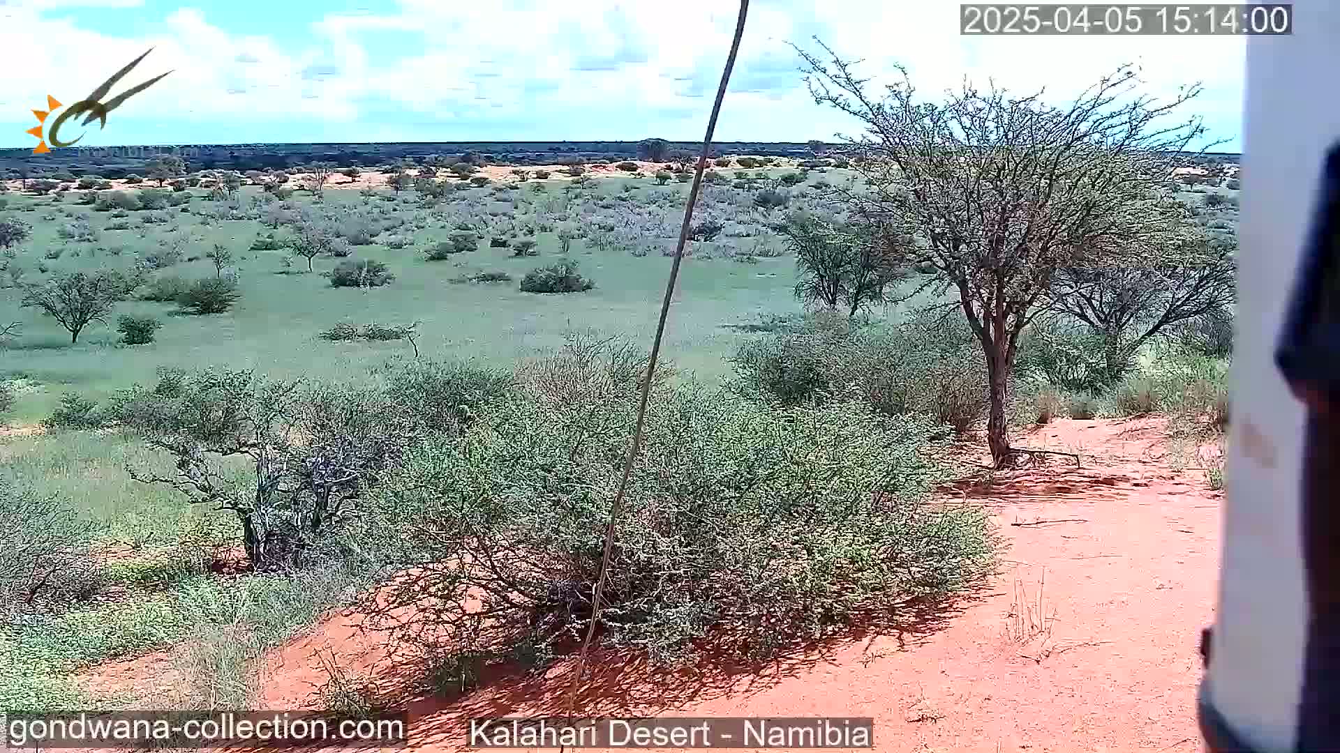 A mostly sunny, arid landscape of sparse shrubs and trees on red sand, extending to a distant horizon under a partly cloudy sky.
