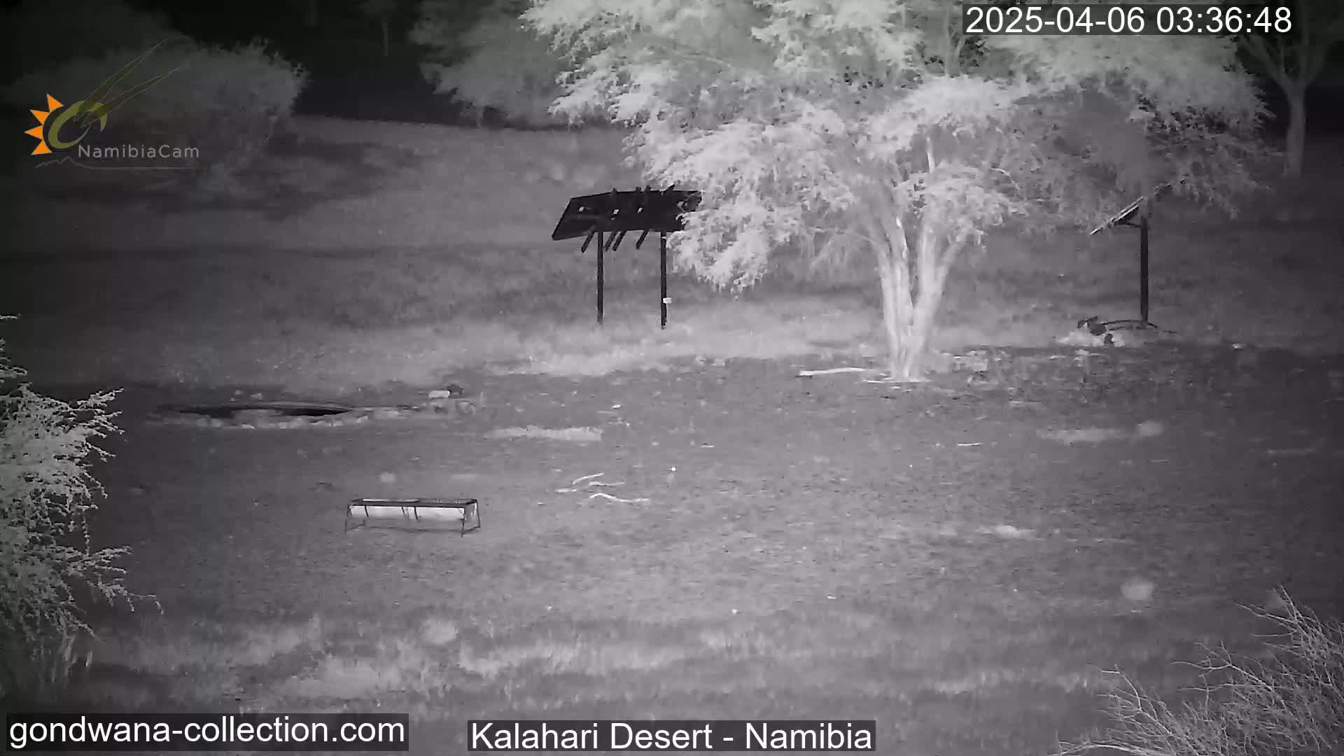 A nighttime infrared image shows a barren, sparsely vegetated landscape with a small metal structure and a trough, under a clear, dark sky.