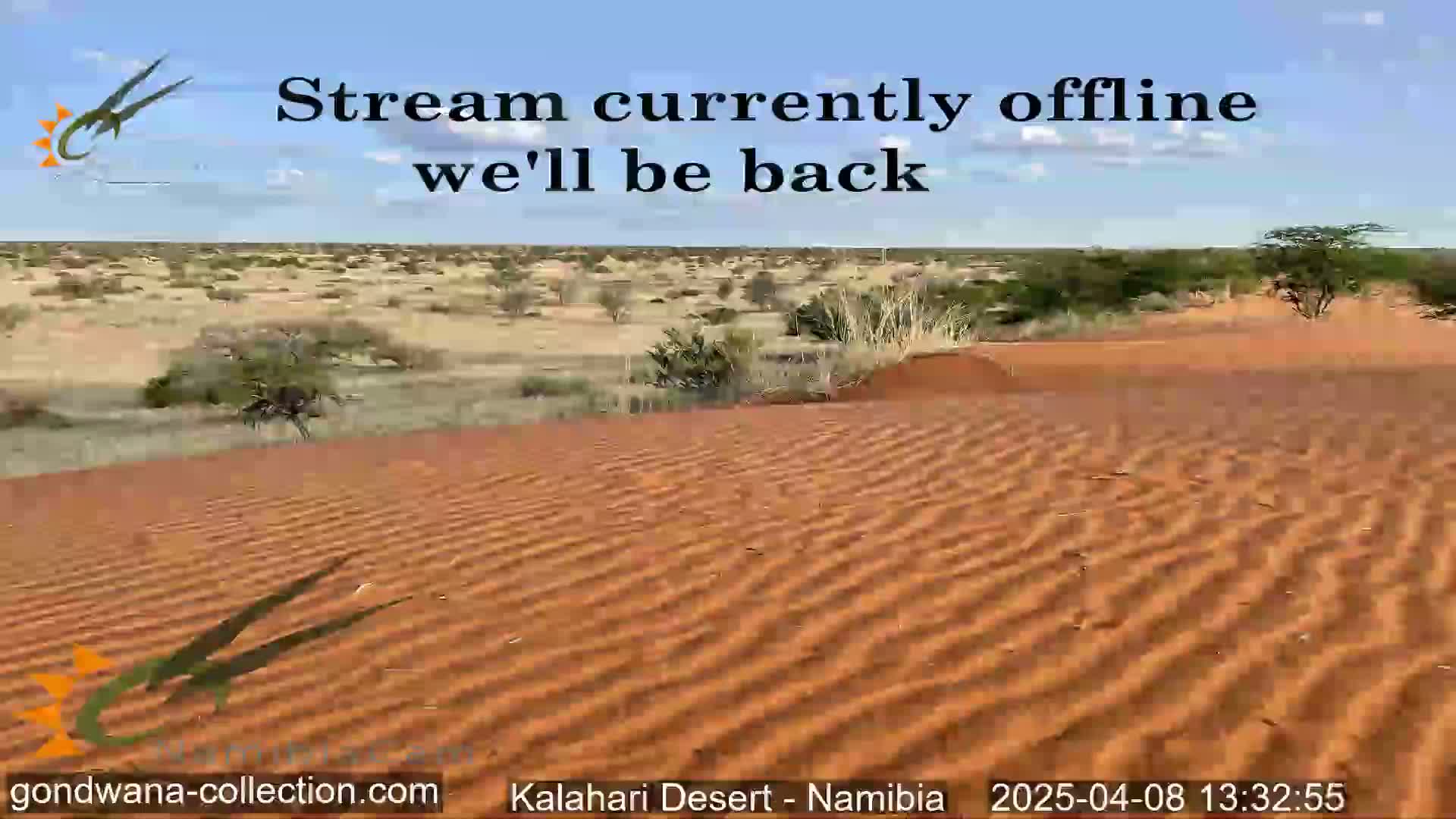 Rippled red sand dunes stretch across a desert landscape under a clear blue sky.