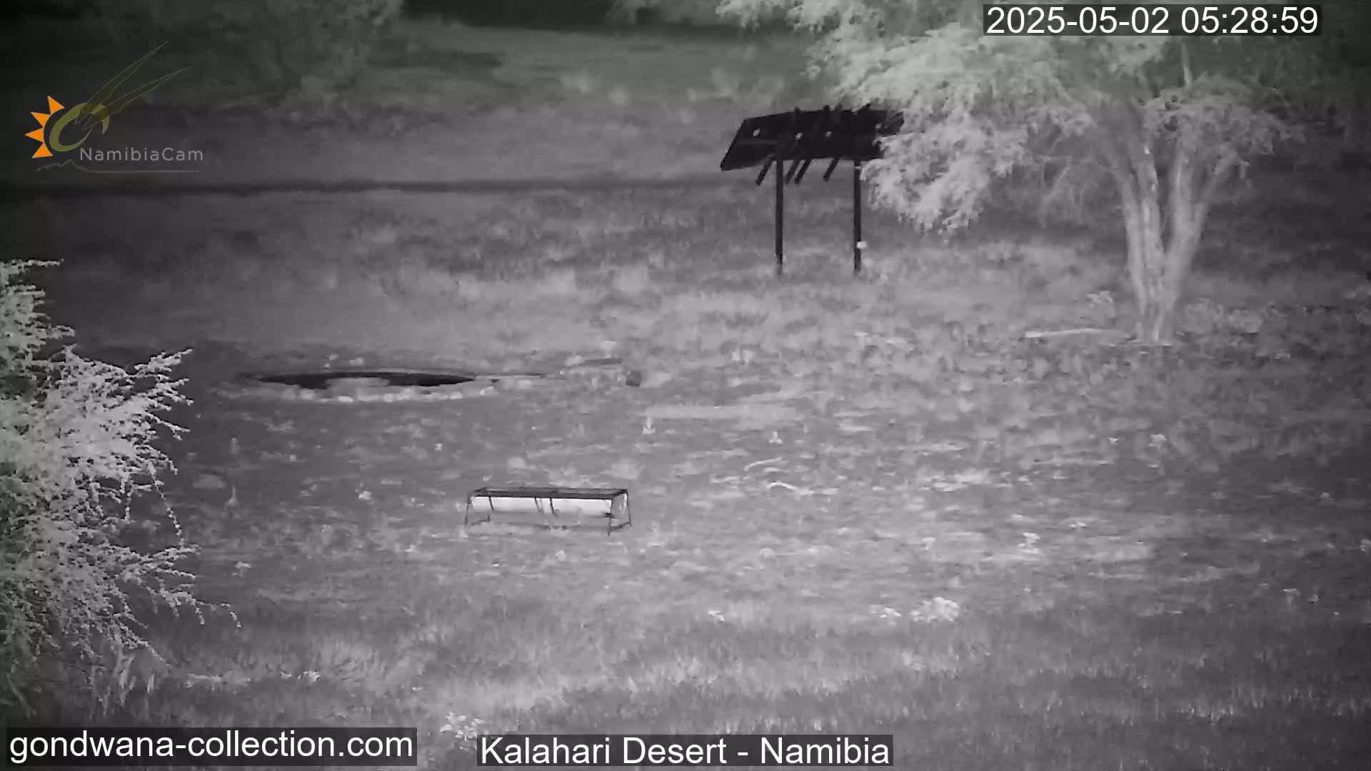 A nighttime thermal image shows a desolate, sparsely vegetated landscape with a metal structure and a trough-like feeder.