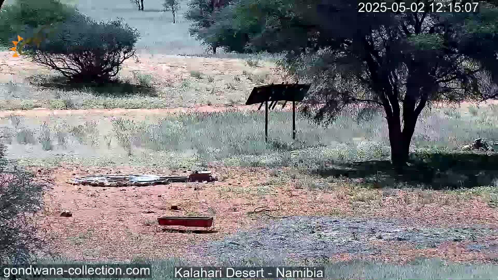 A dry, dusty landscape with sparse vegetation and a few trees under a sunny sky shows a stone structure and a red feeding trough near a dirt road.